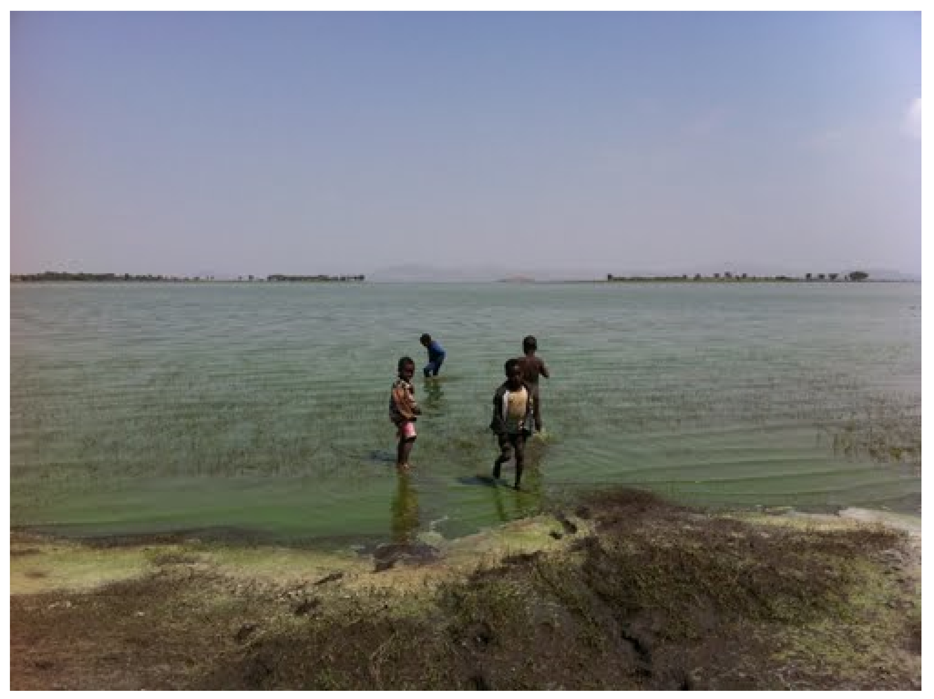 Humanities 10 00077 g001