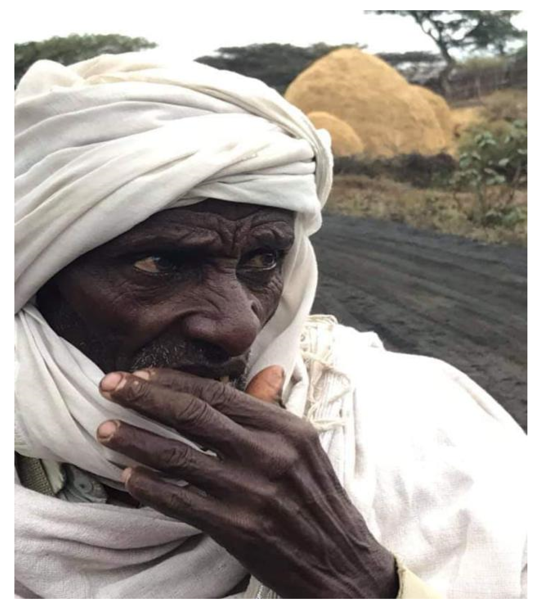 Humanities 10 00077 g002