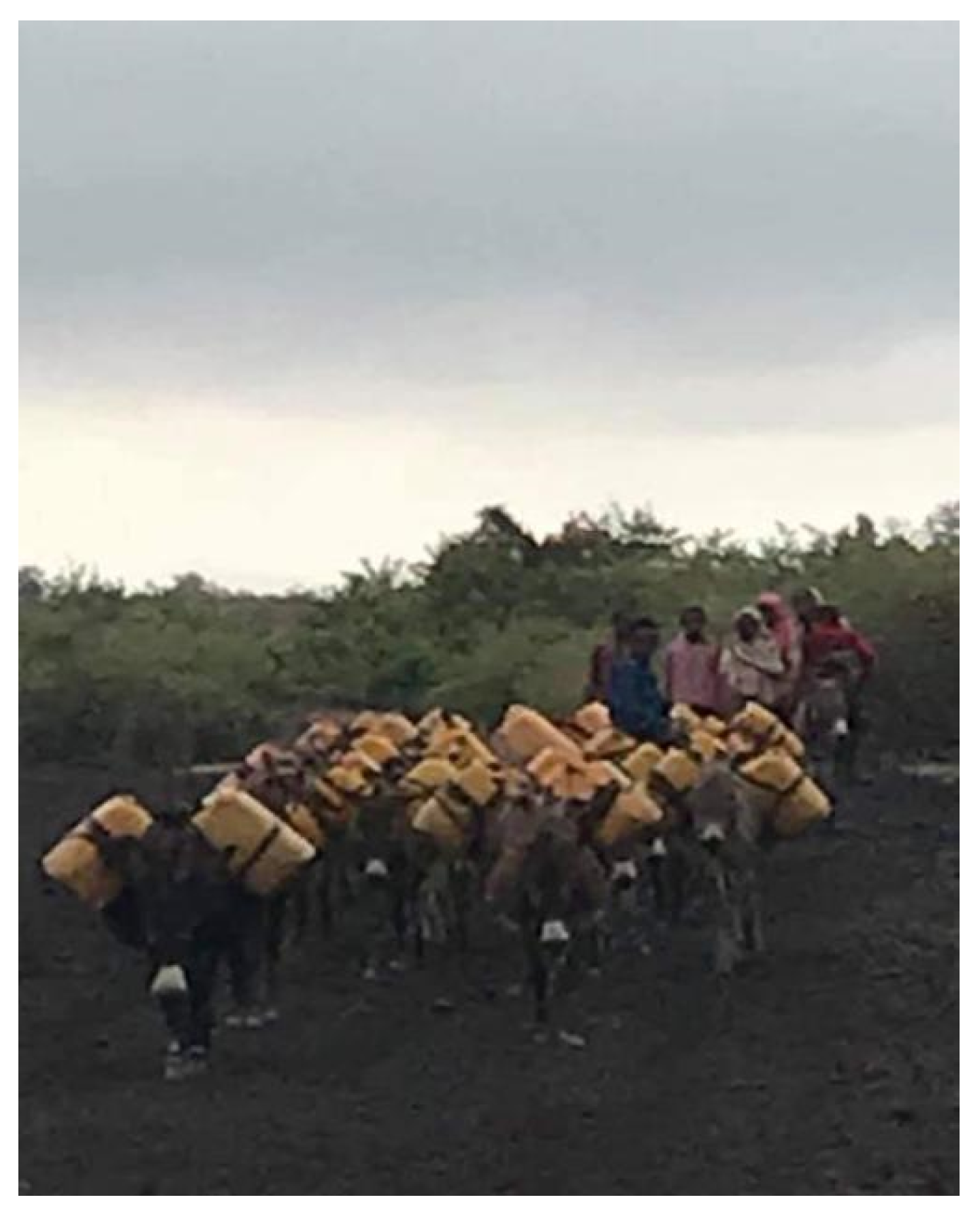 Humanities 10 00077 g003