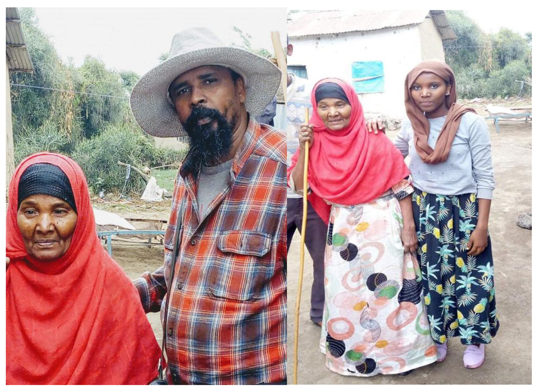 Humanities 10 00077 g004