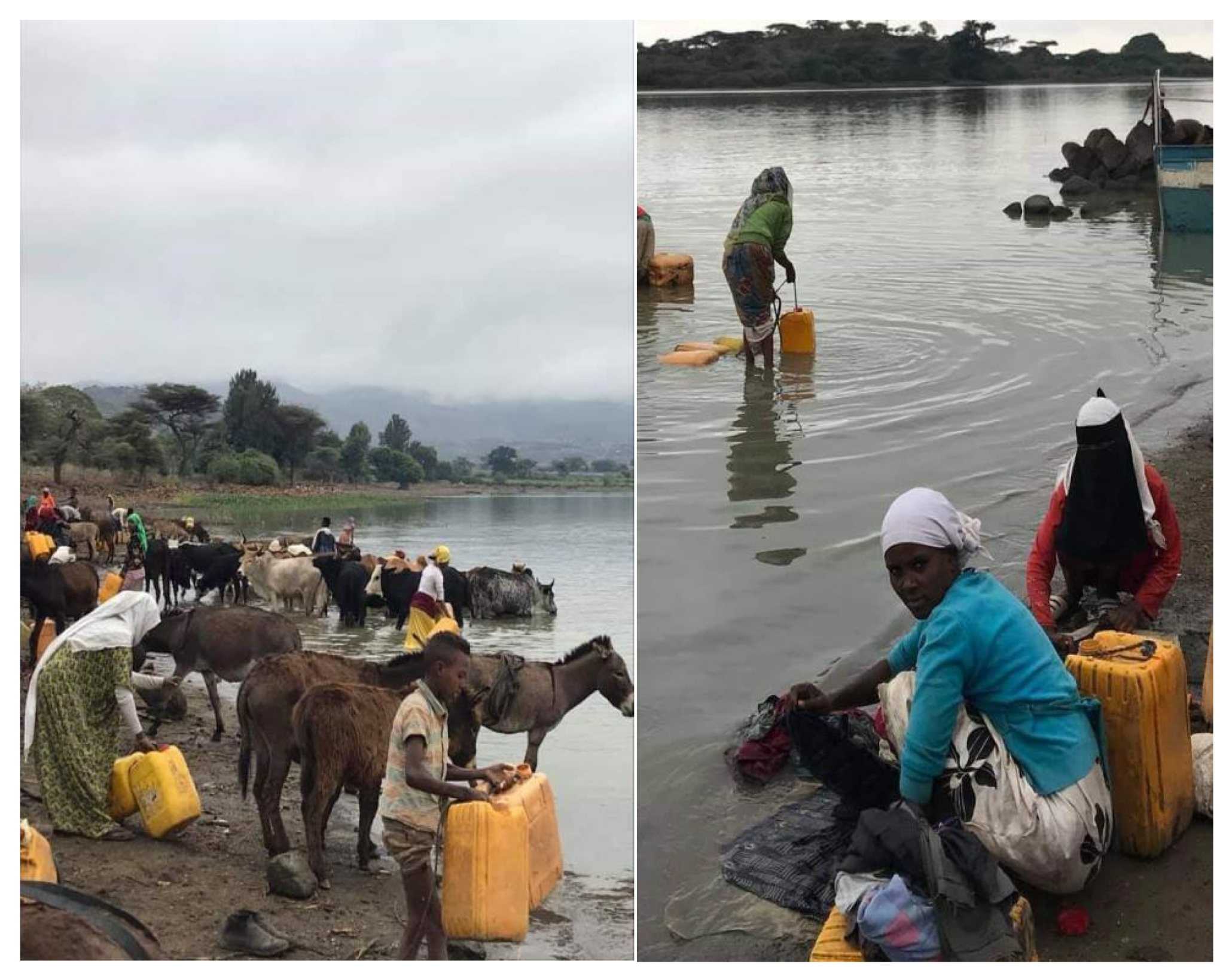 Humanities 10 00077 g005