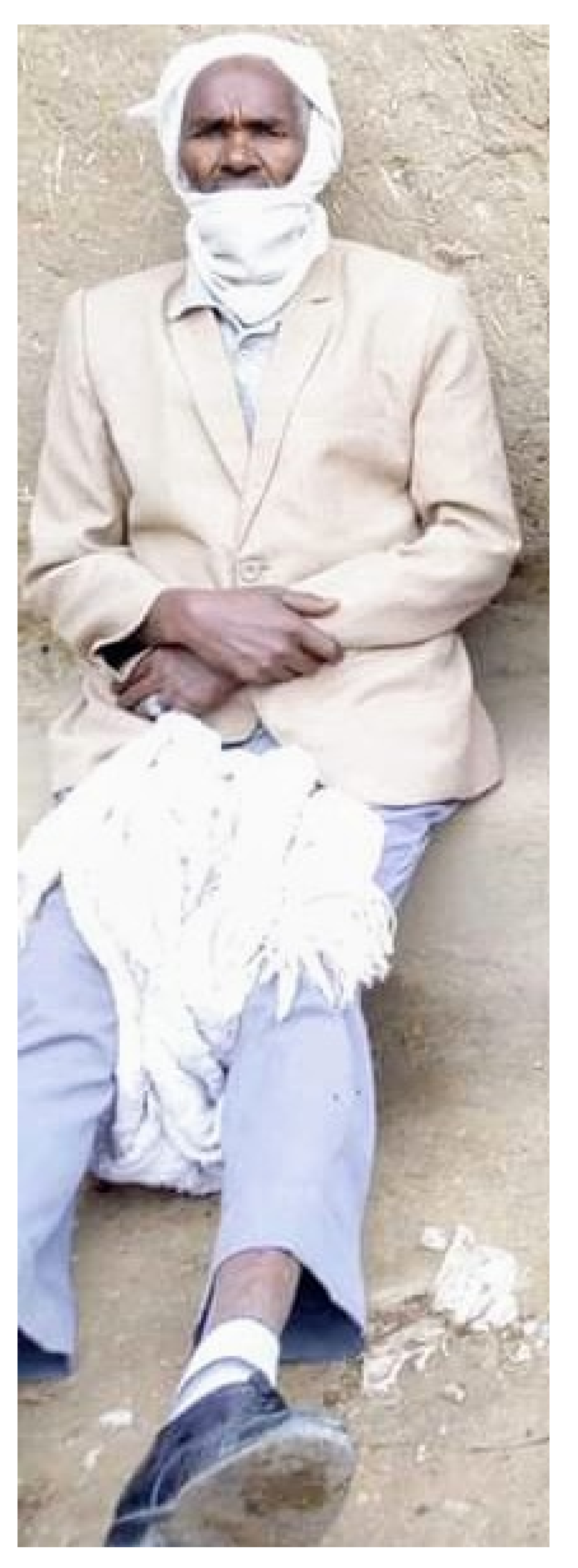 Humanities 10 00077 g006