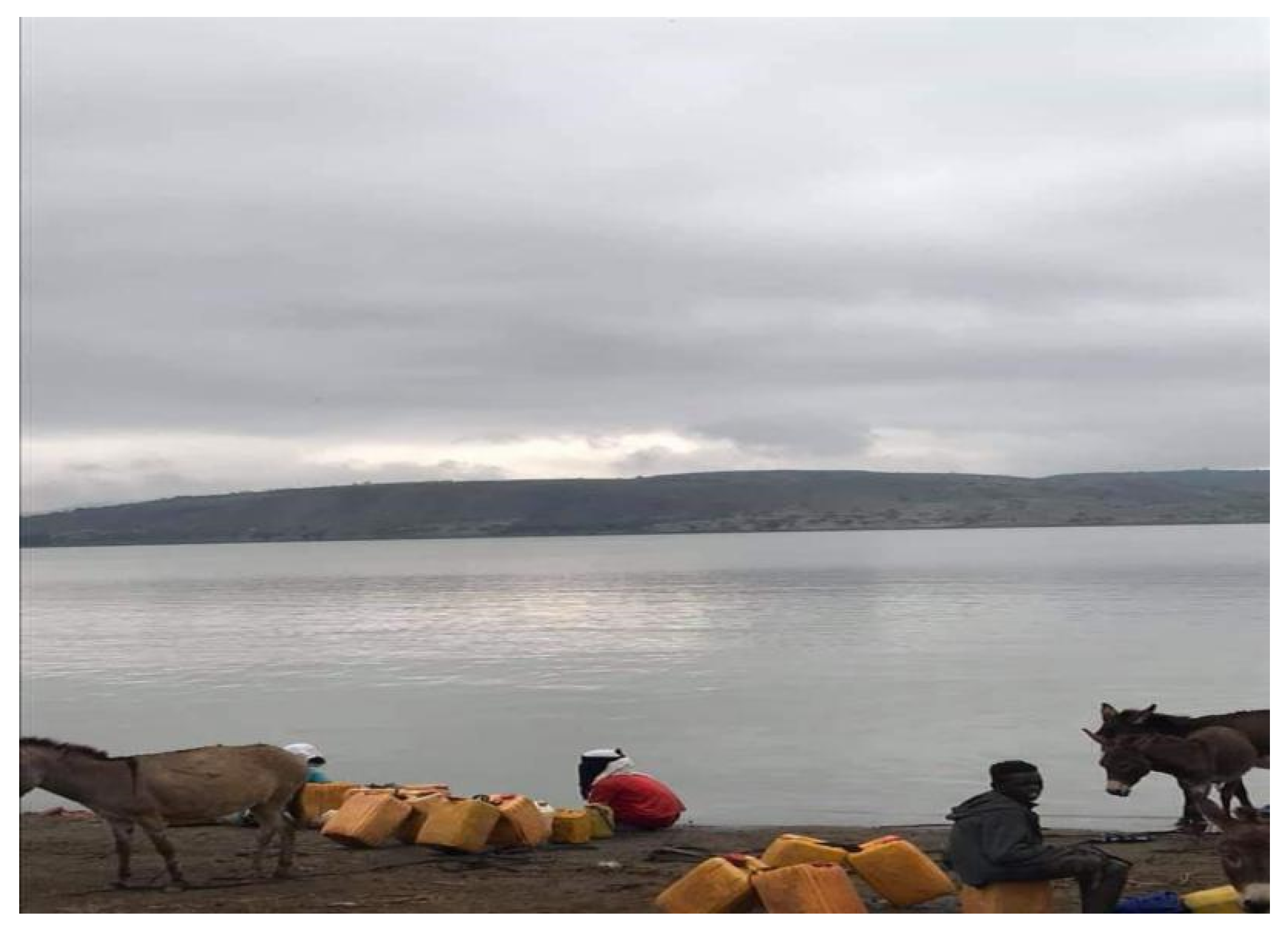 Humanities 10 00077 g007