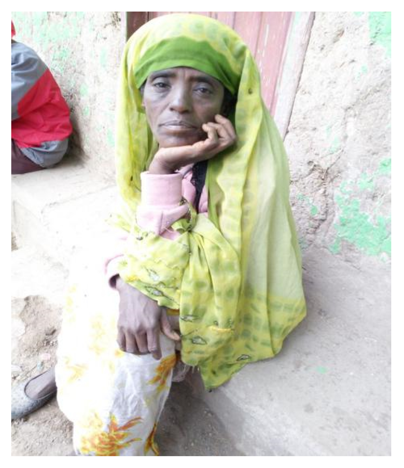 Humanities 10 00077 g009