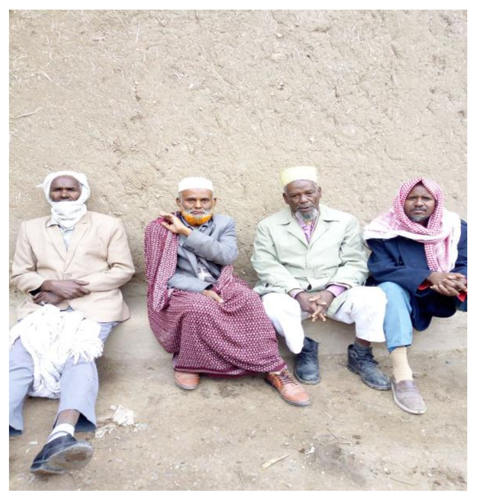 Humanities 10 00077 g010