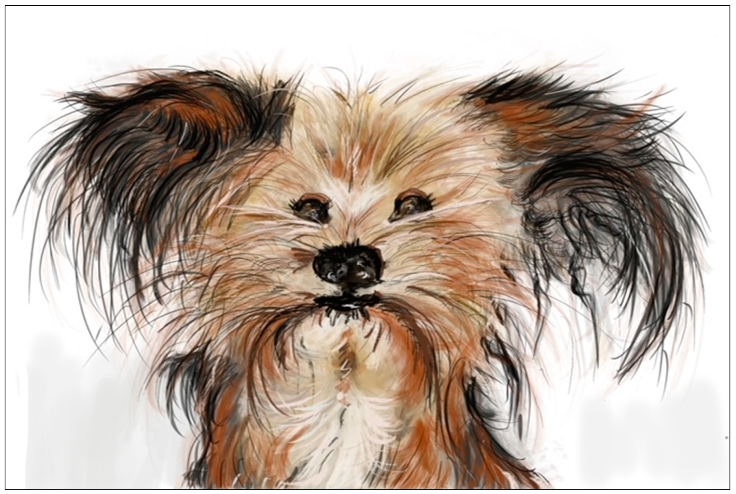 Humanities 10 00113 g004