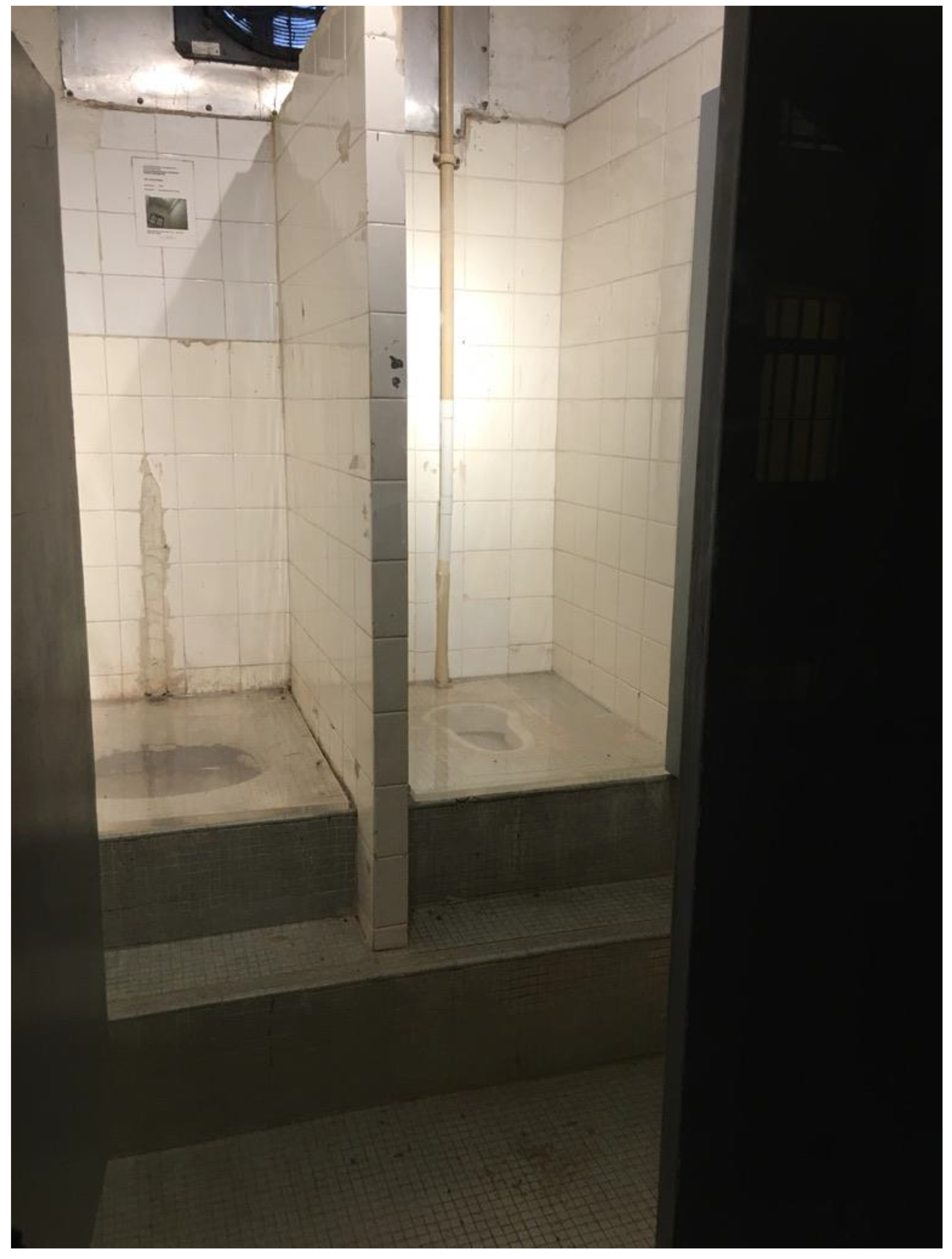 Humanities 11 00012 g006