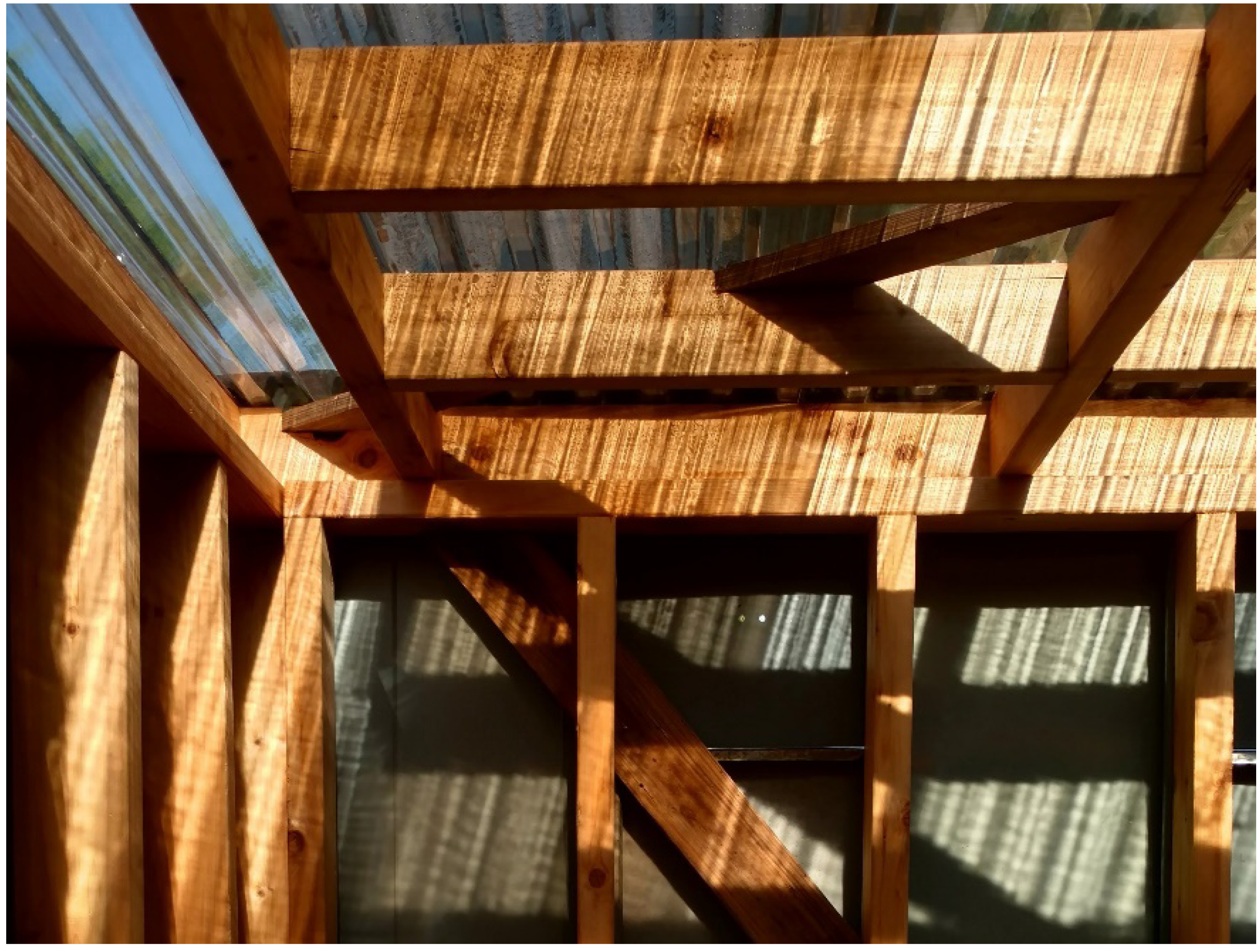 Humanities 11 00019 g003