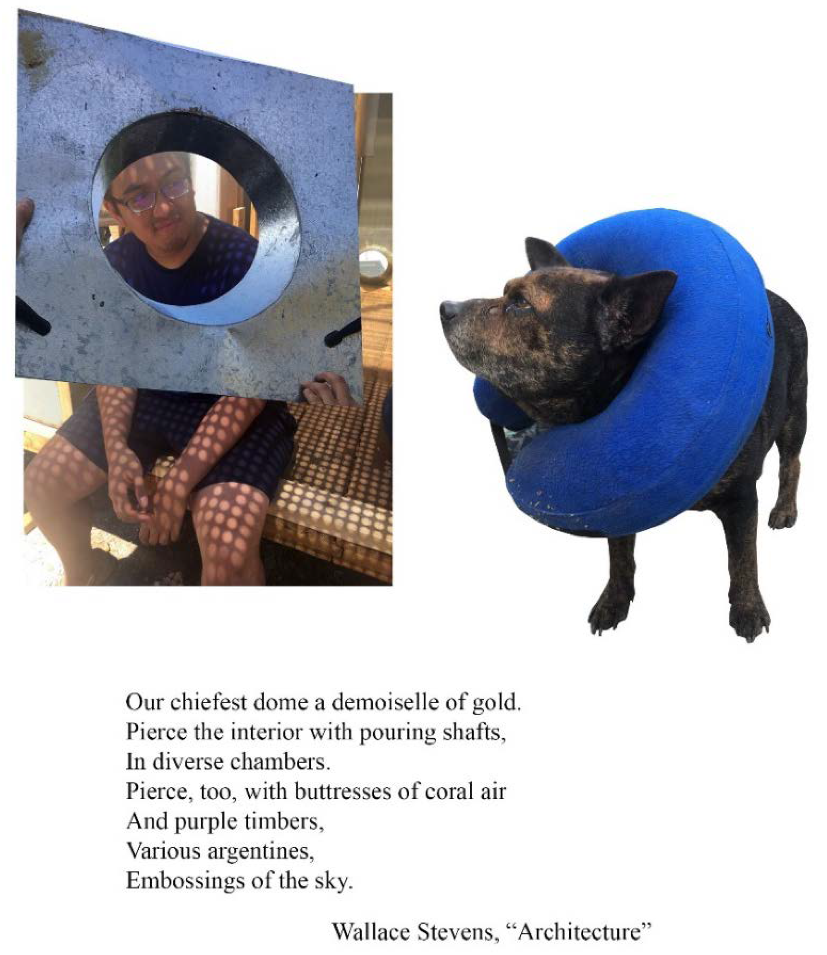 Humanities 11 00019 g007