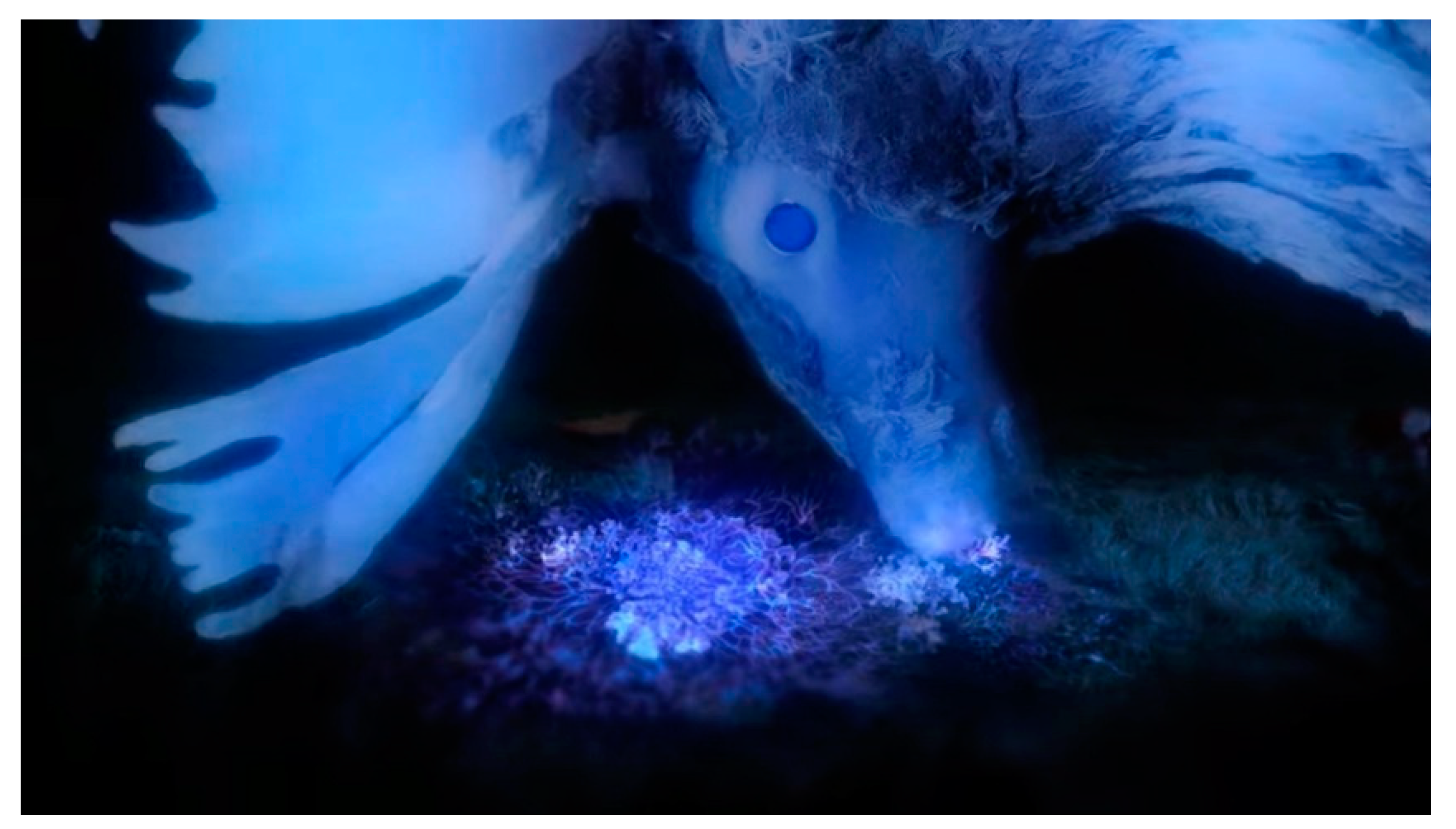 Humanities 11 00097 g002