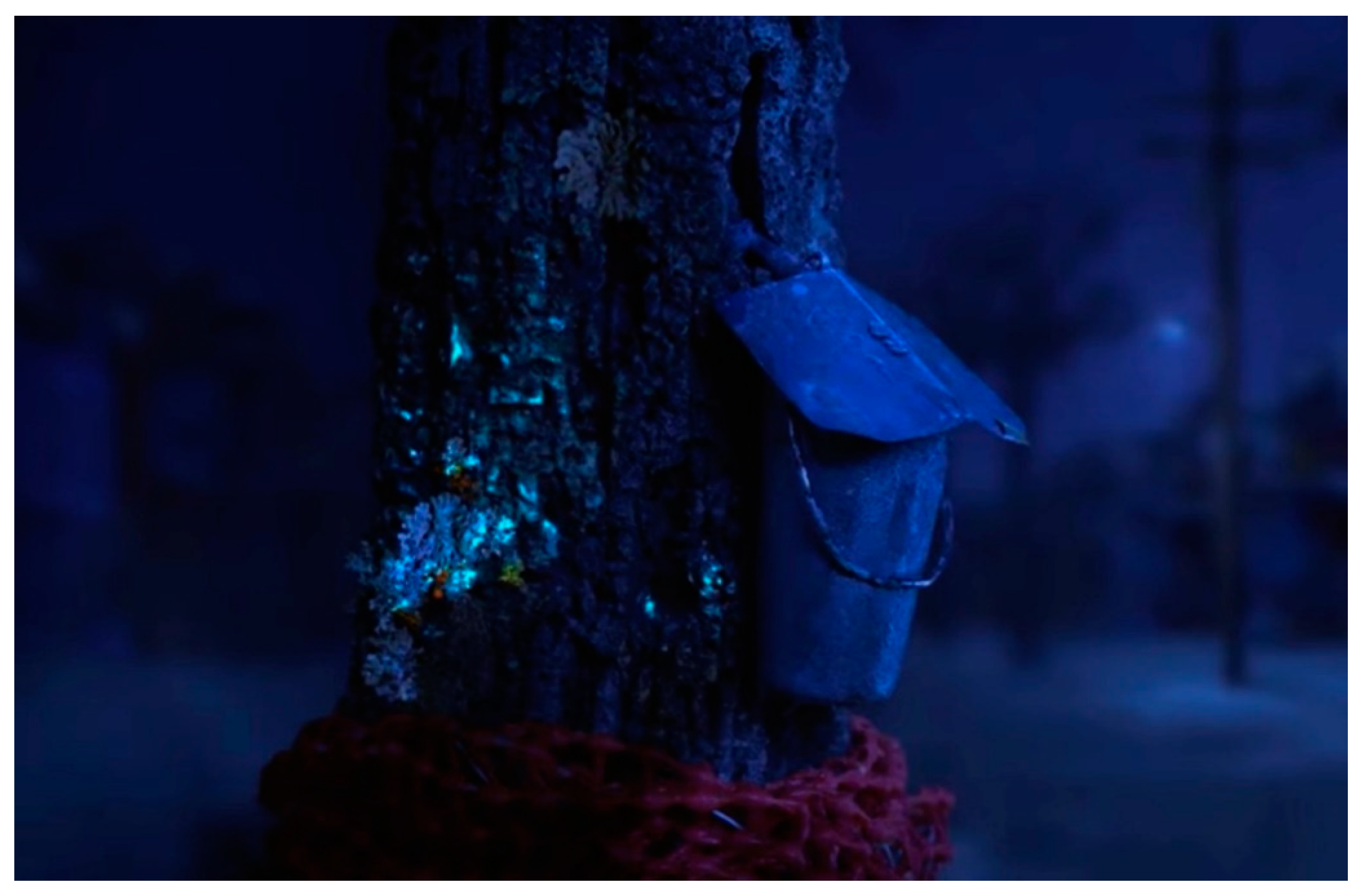 Humanities 11 00097 g004