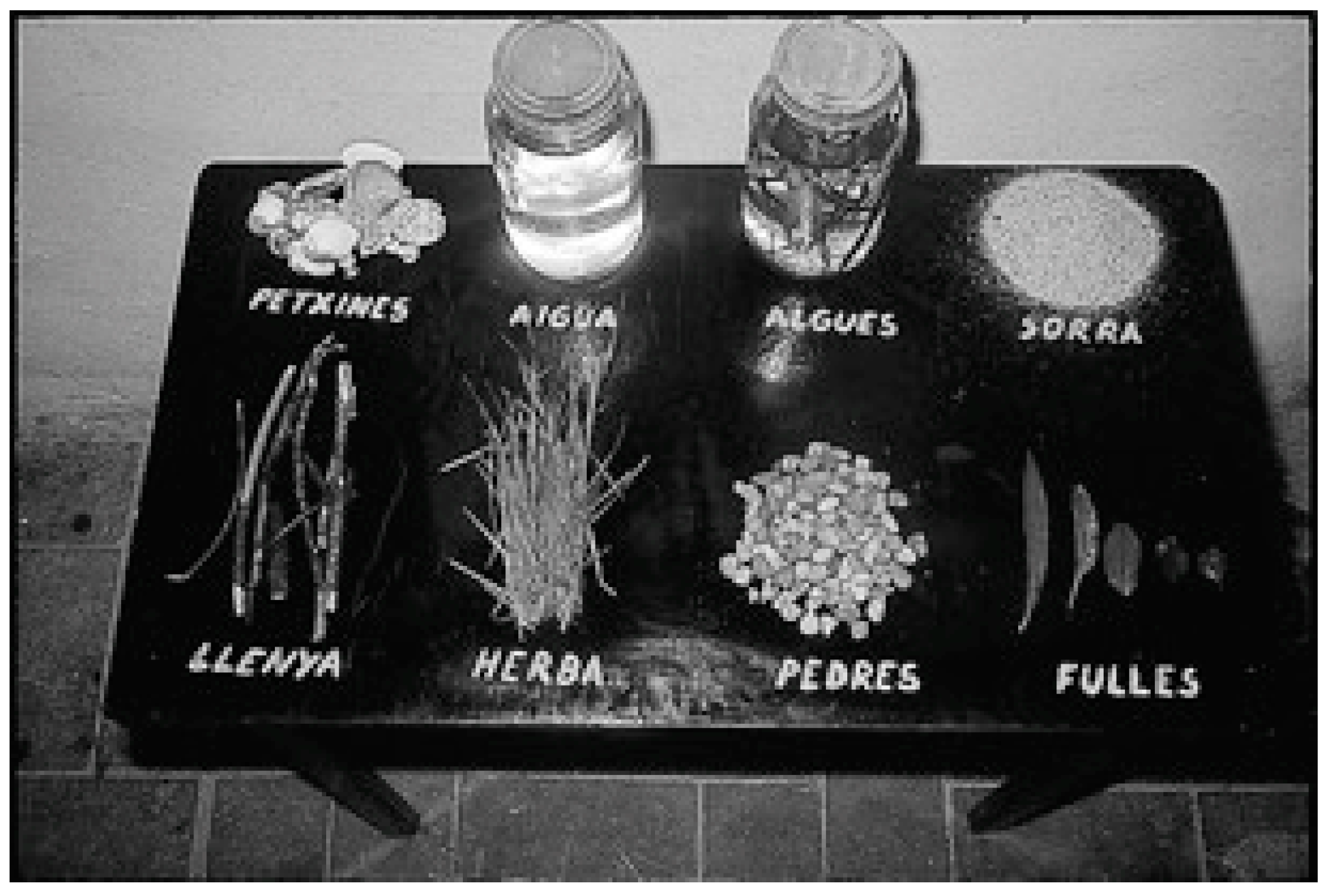 Humanities 12 00138 g004