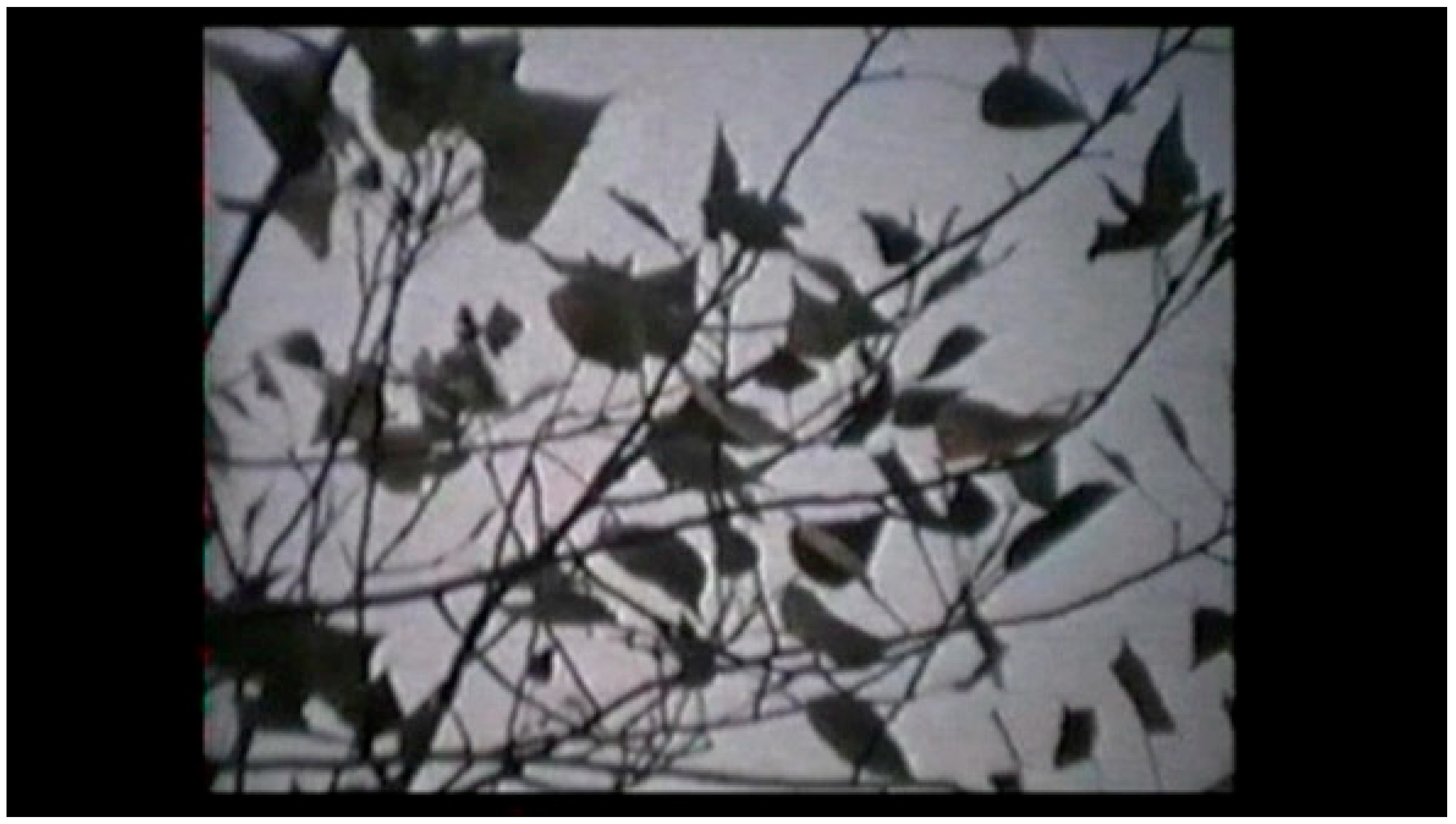 Humanities 12 00138 g006