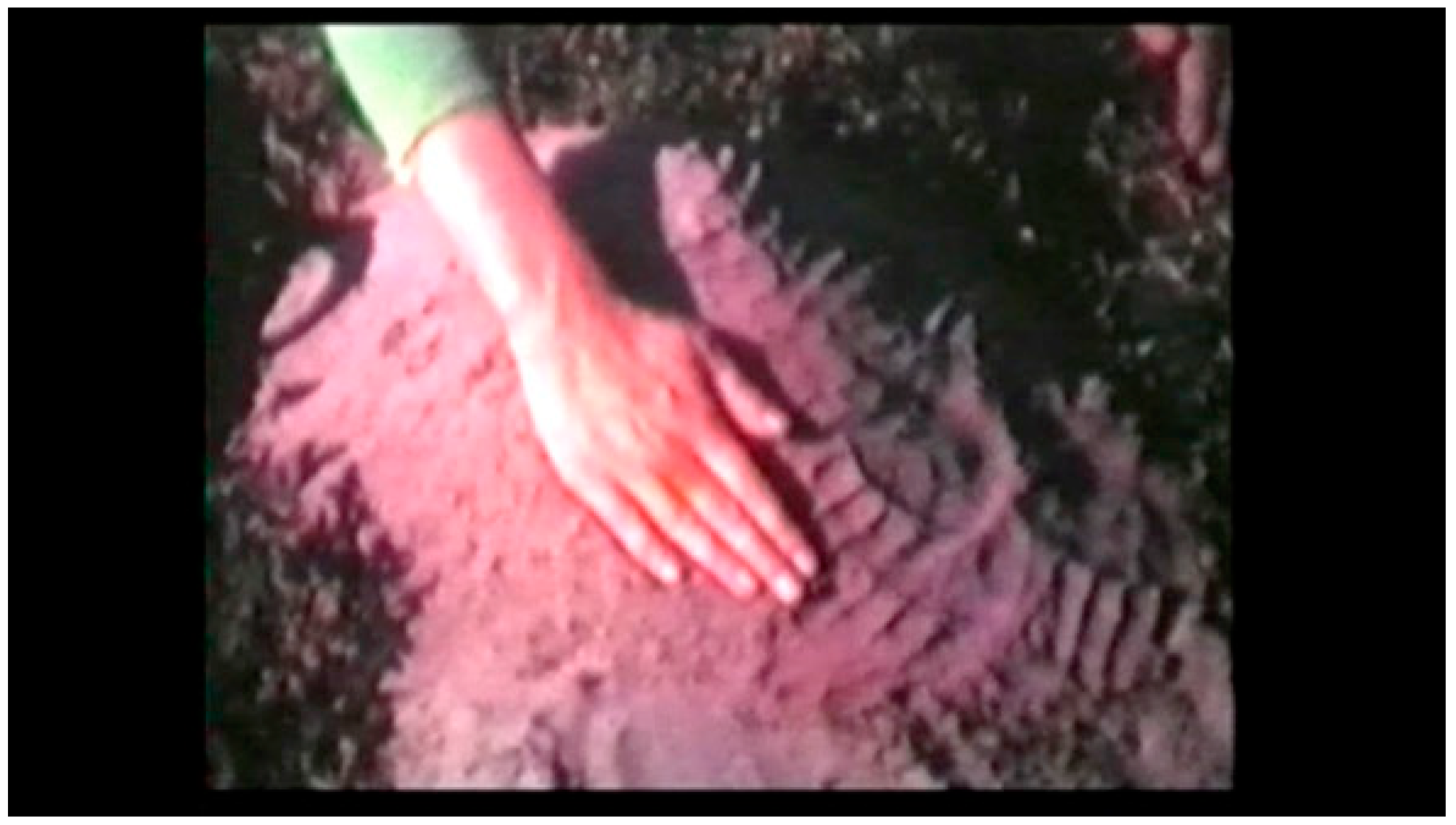 Humanities 12 00138 g010