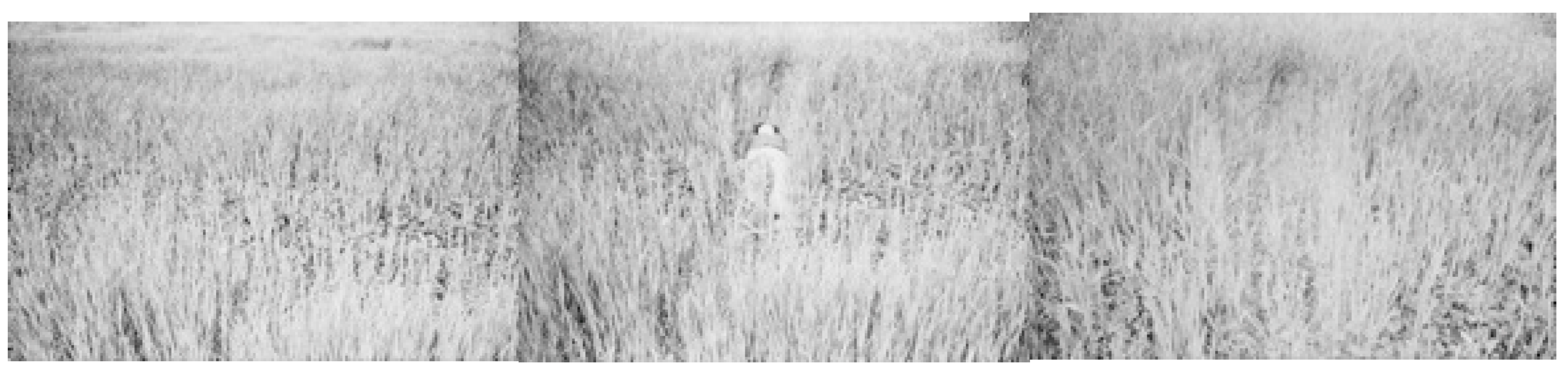 Humanities 12 00138 g011