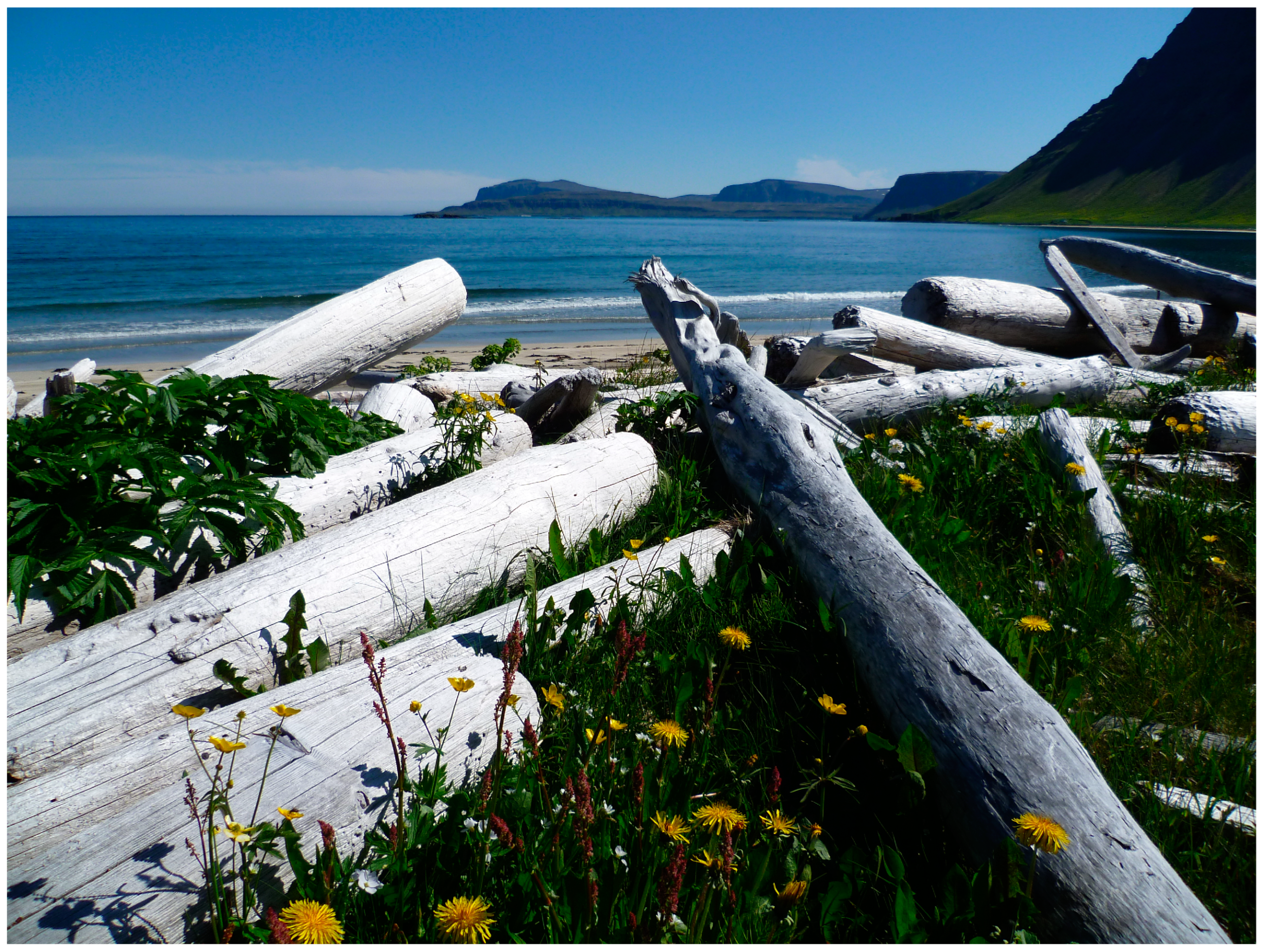 Humanities 12 00141 g003