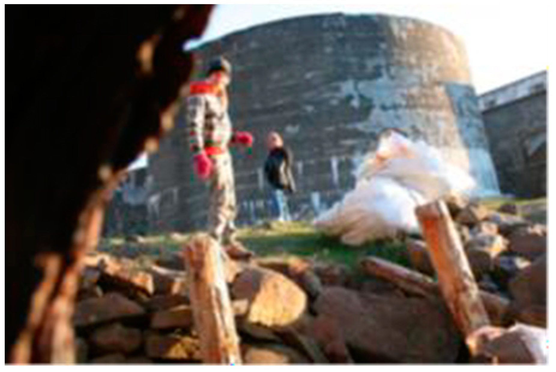 Humanities 12 00141 g005