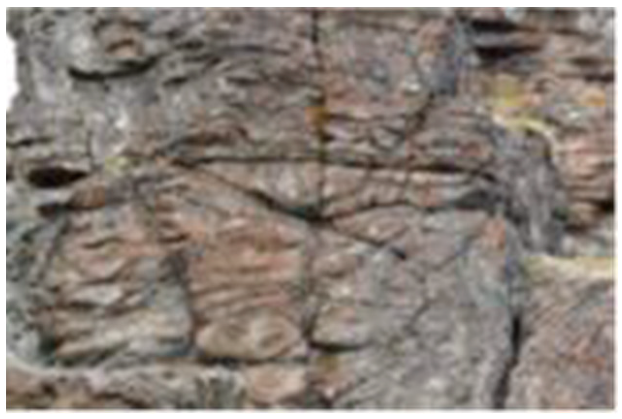 Humanities 12 00141 g008