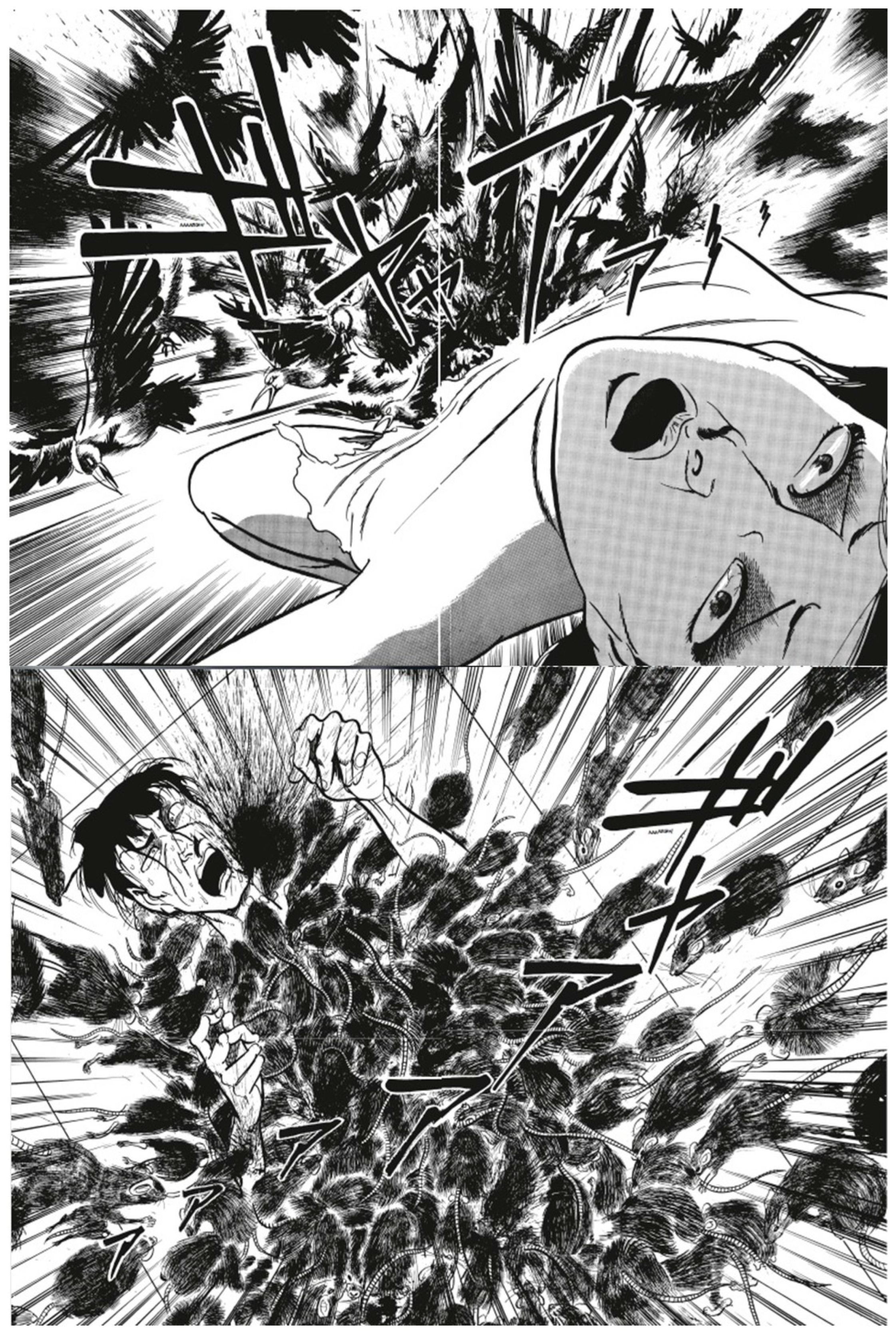 Humanities 13 00008 g006