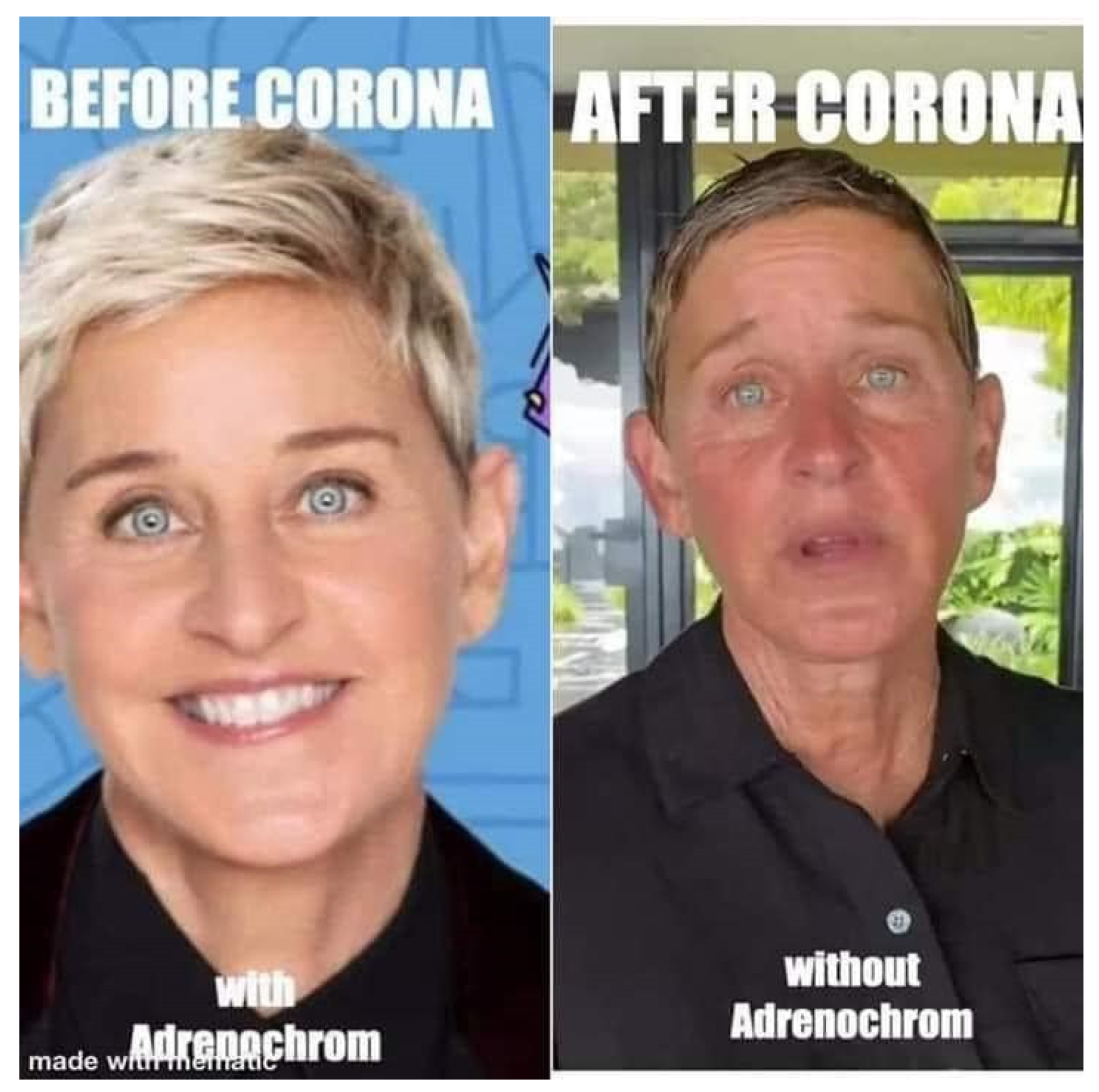 Humanities 13 00010 g005