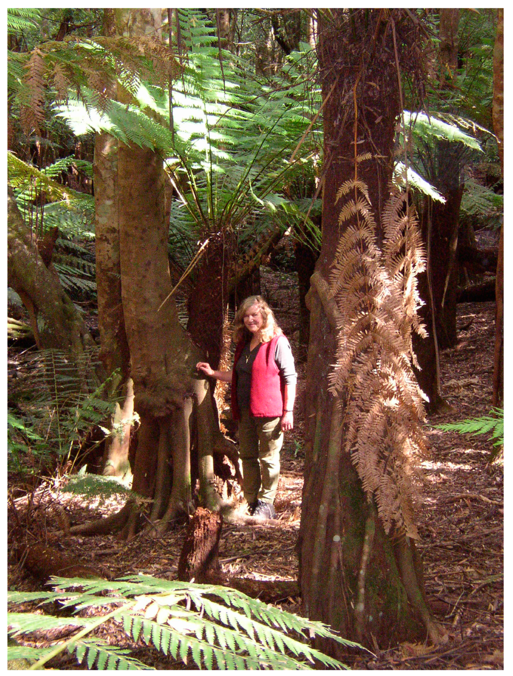 Humanities 13 00037 g001