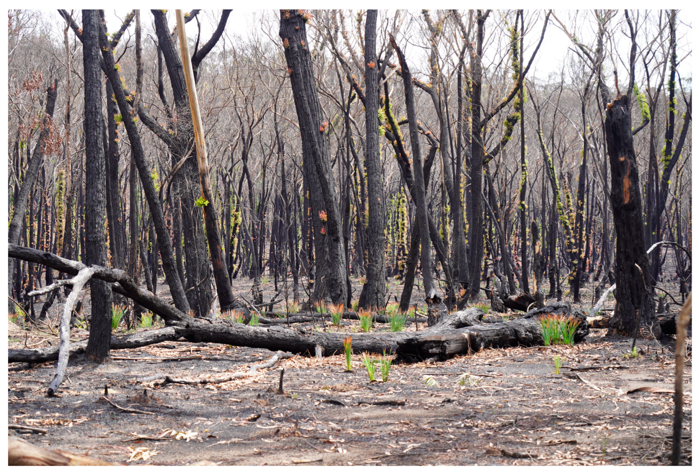 Humanities 13 00037 g003