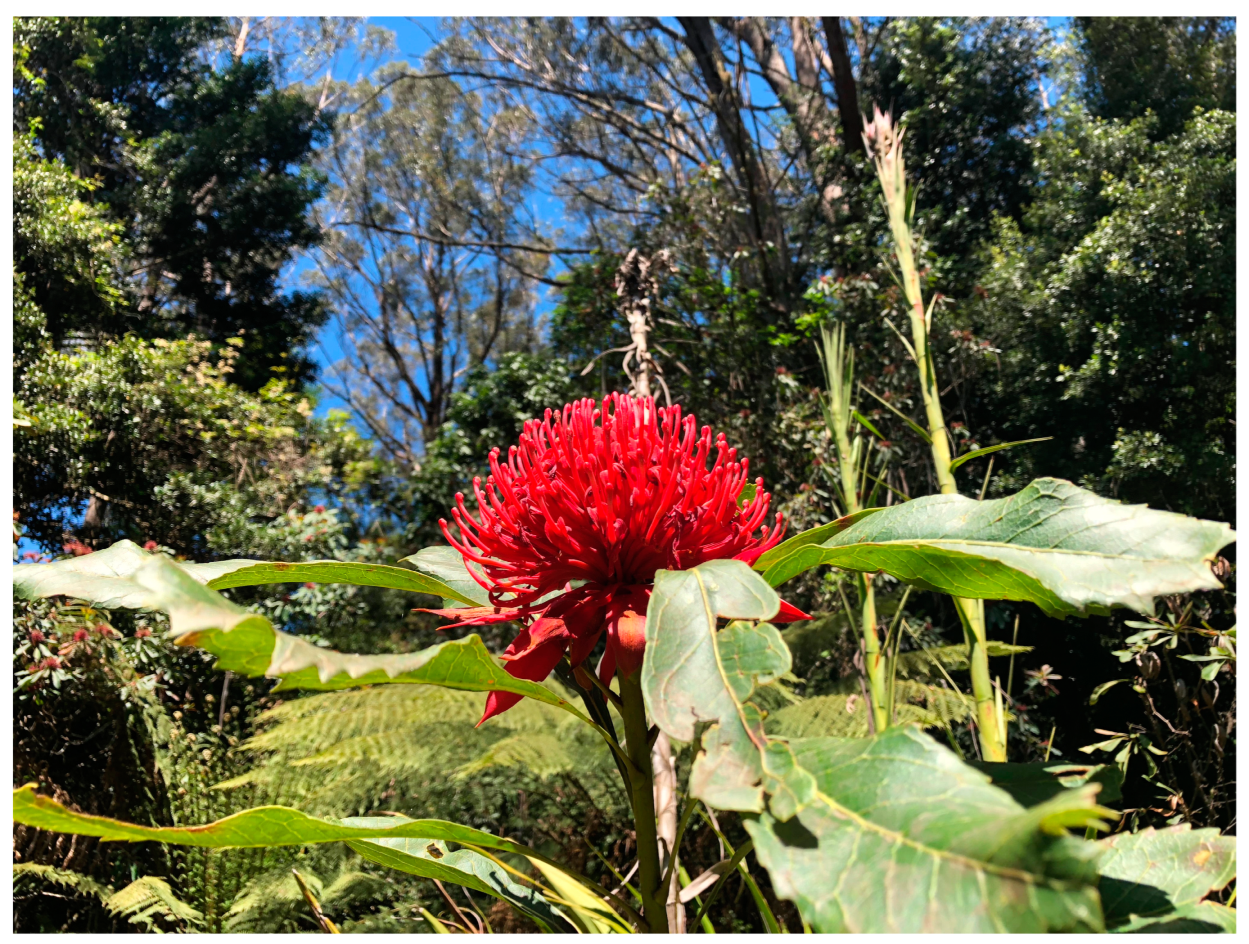 Humanities 13 00037 g006