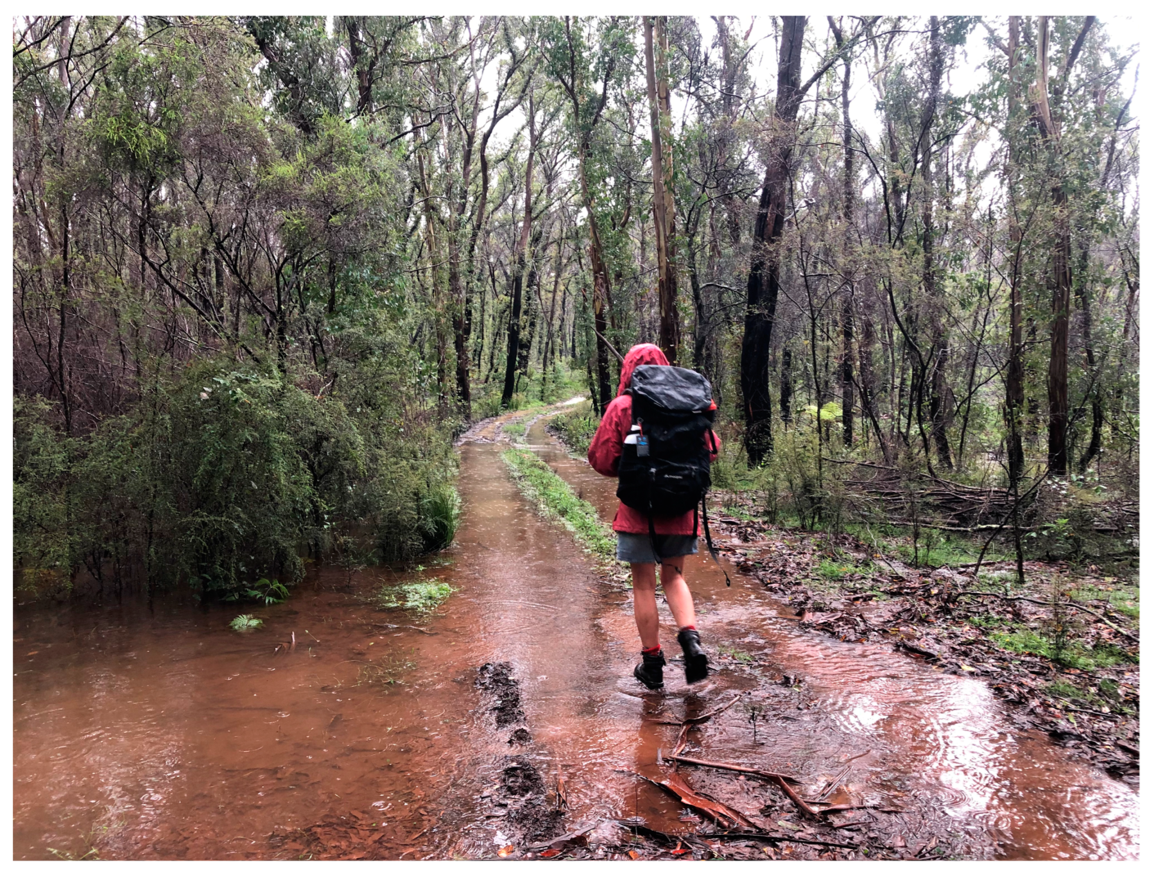 Humanities 13 00037 g010