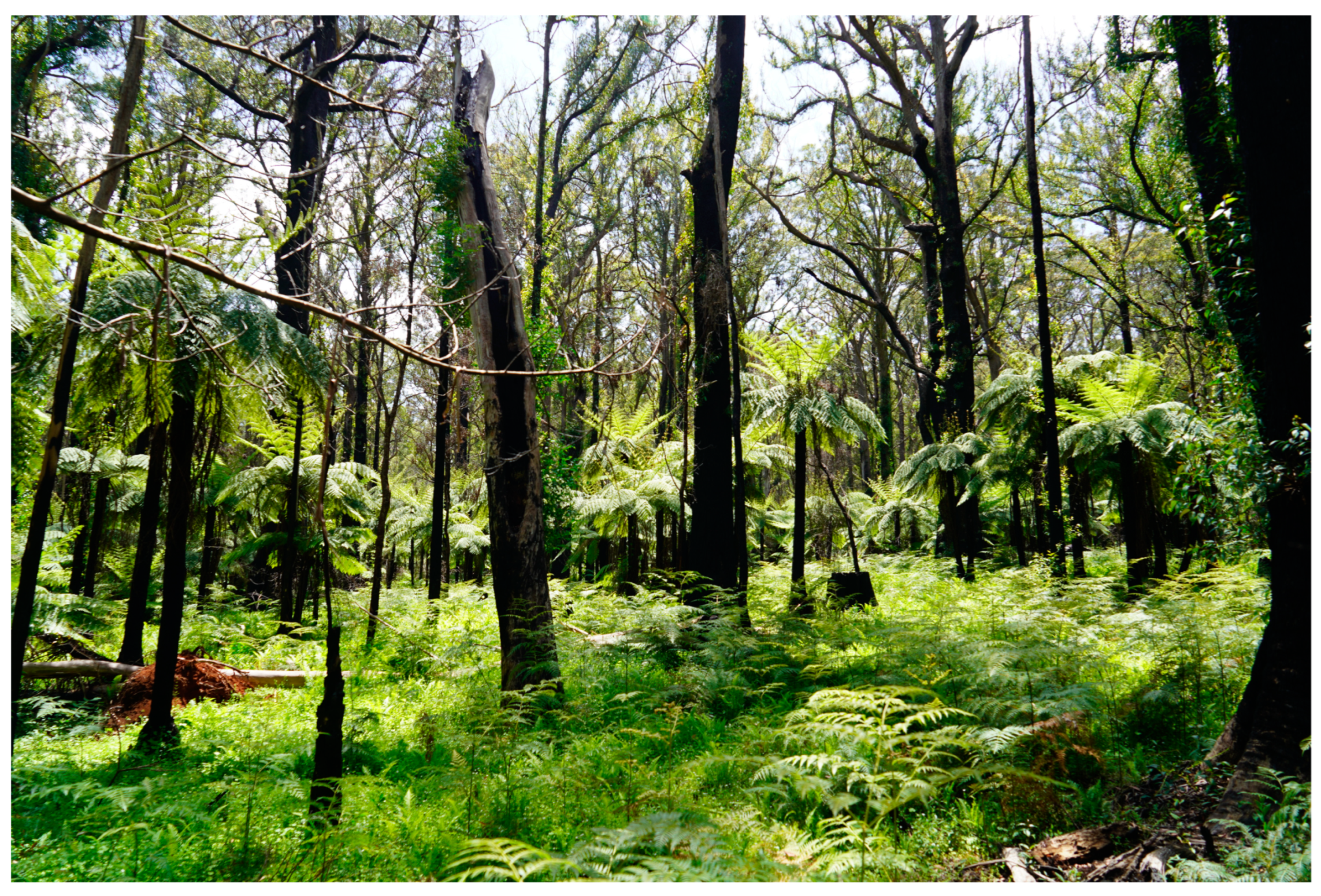 Humanities 13 00037 g011