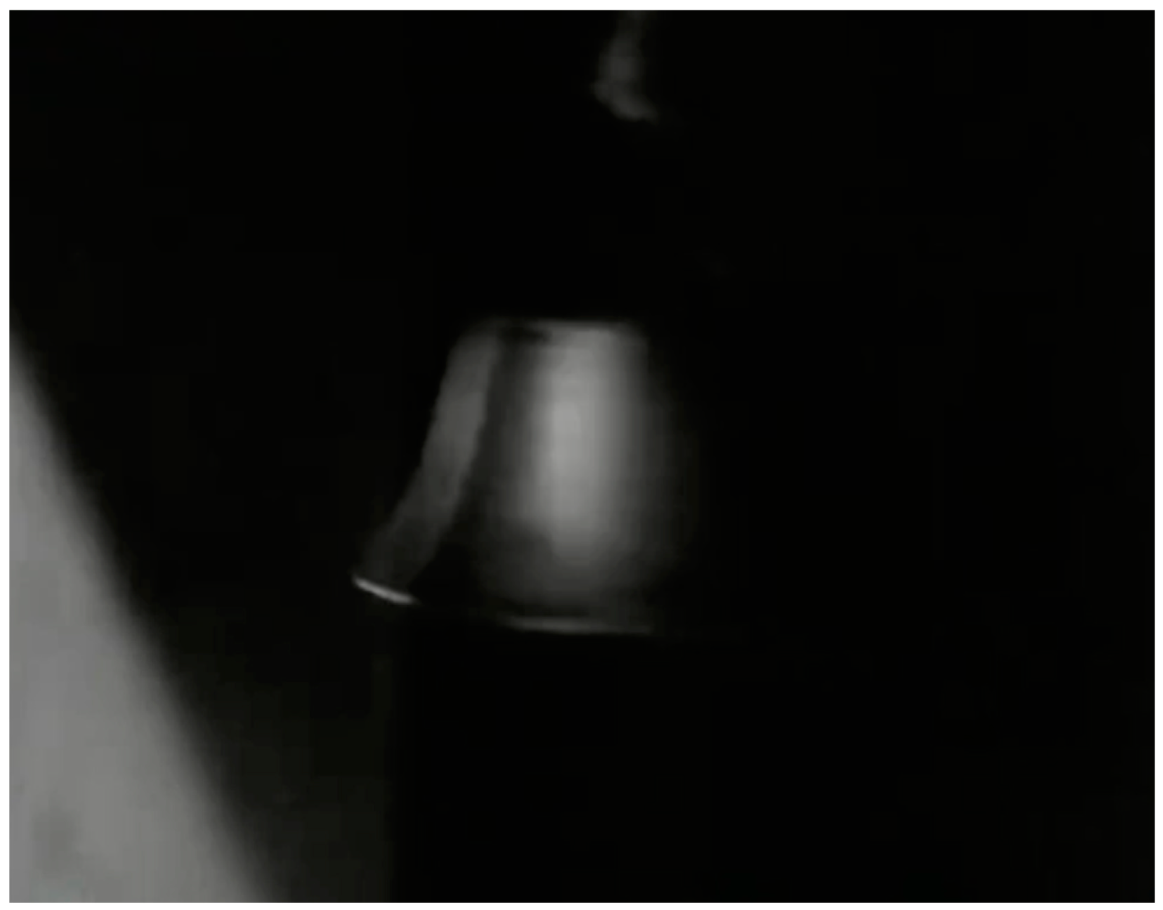 Humanities 13 00129 g003