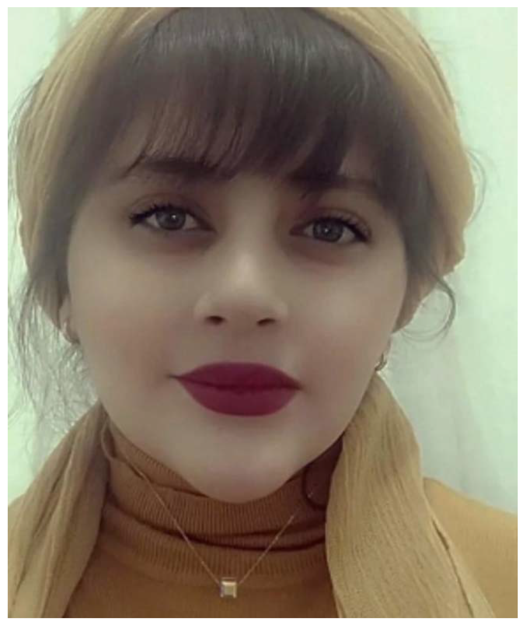 Humanities 14 00035 g002