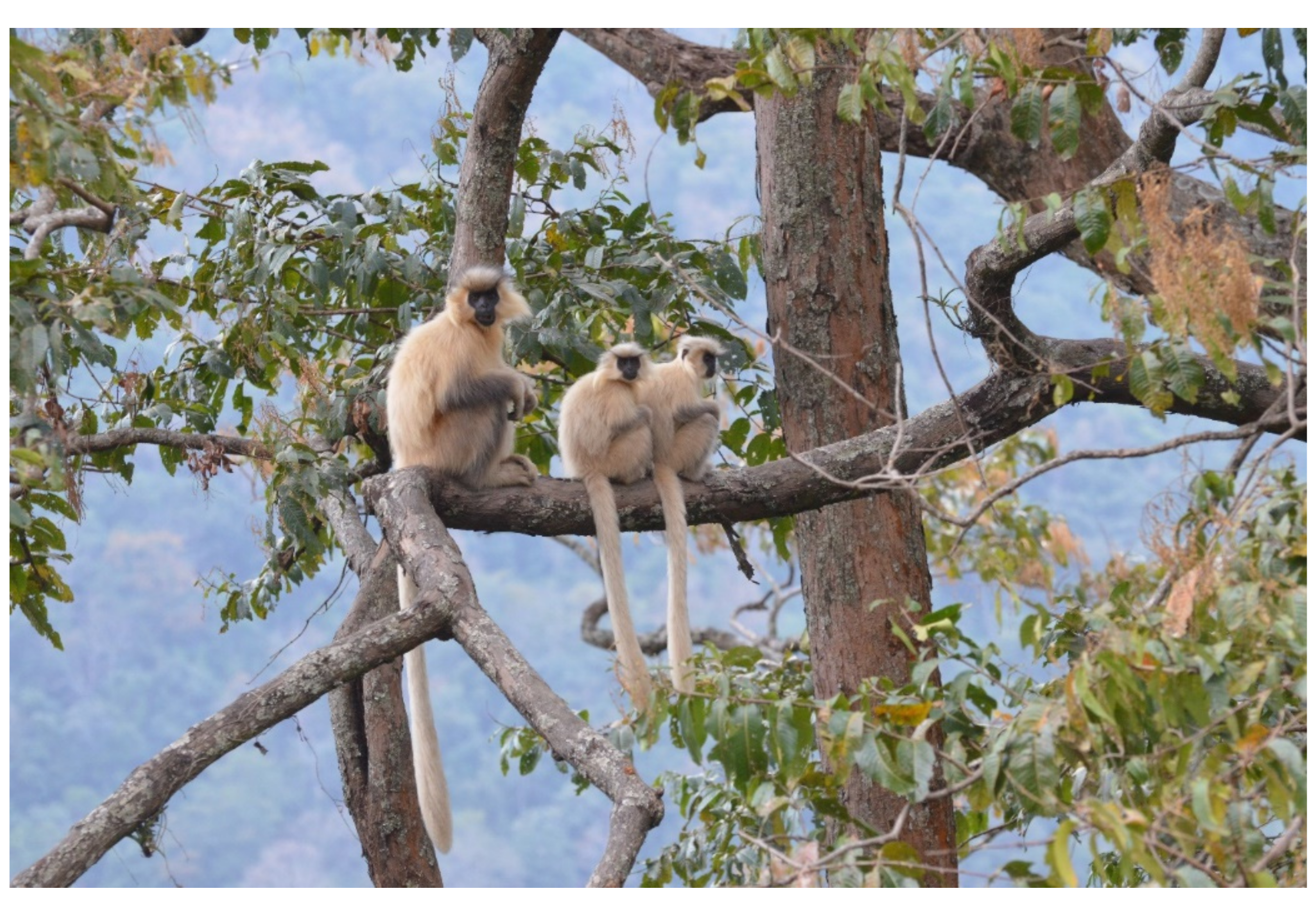 Humans 01 00005 g001