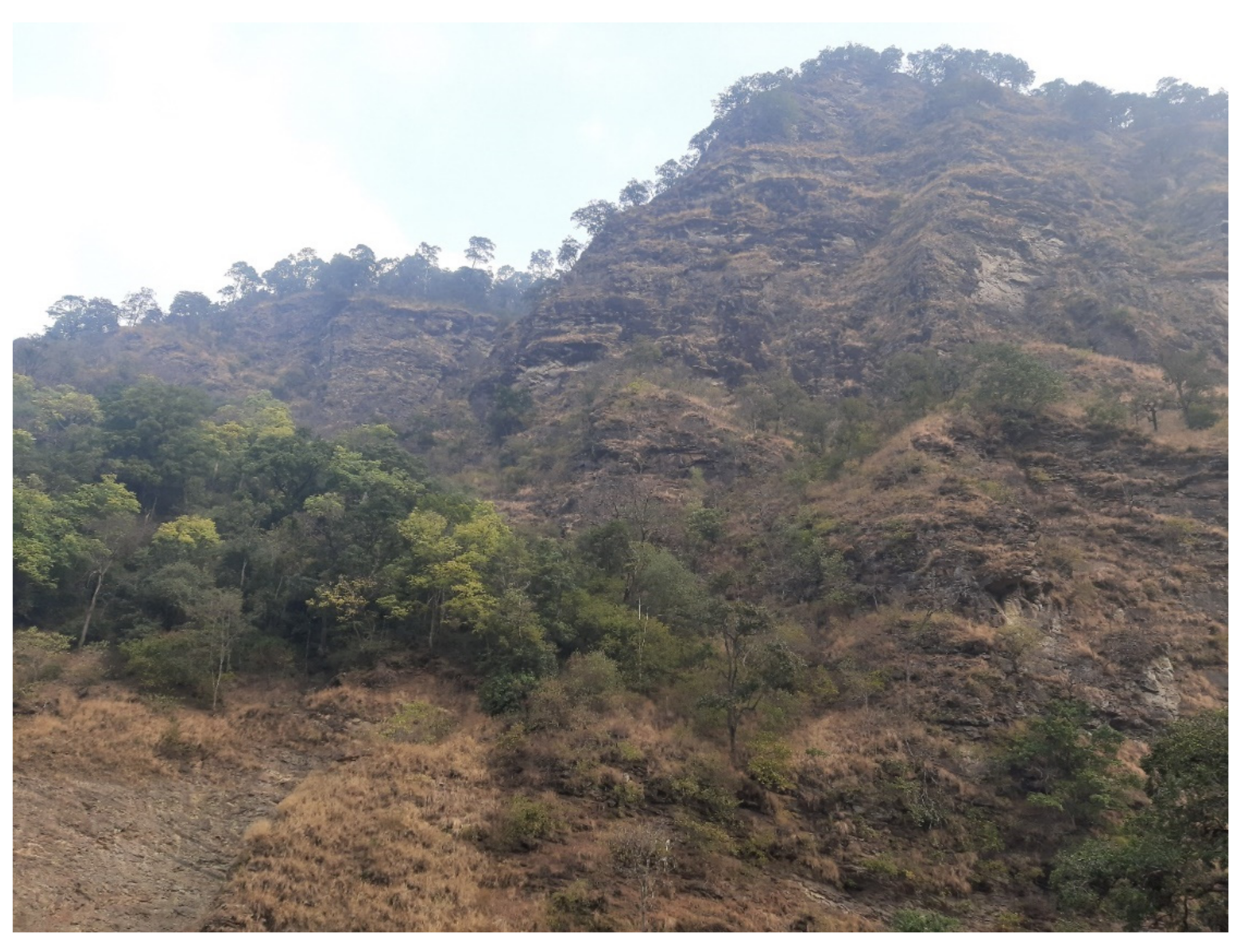 Humans 01 00005 g003