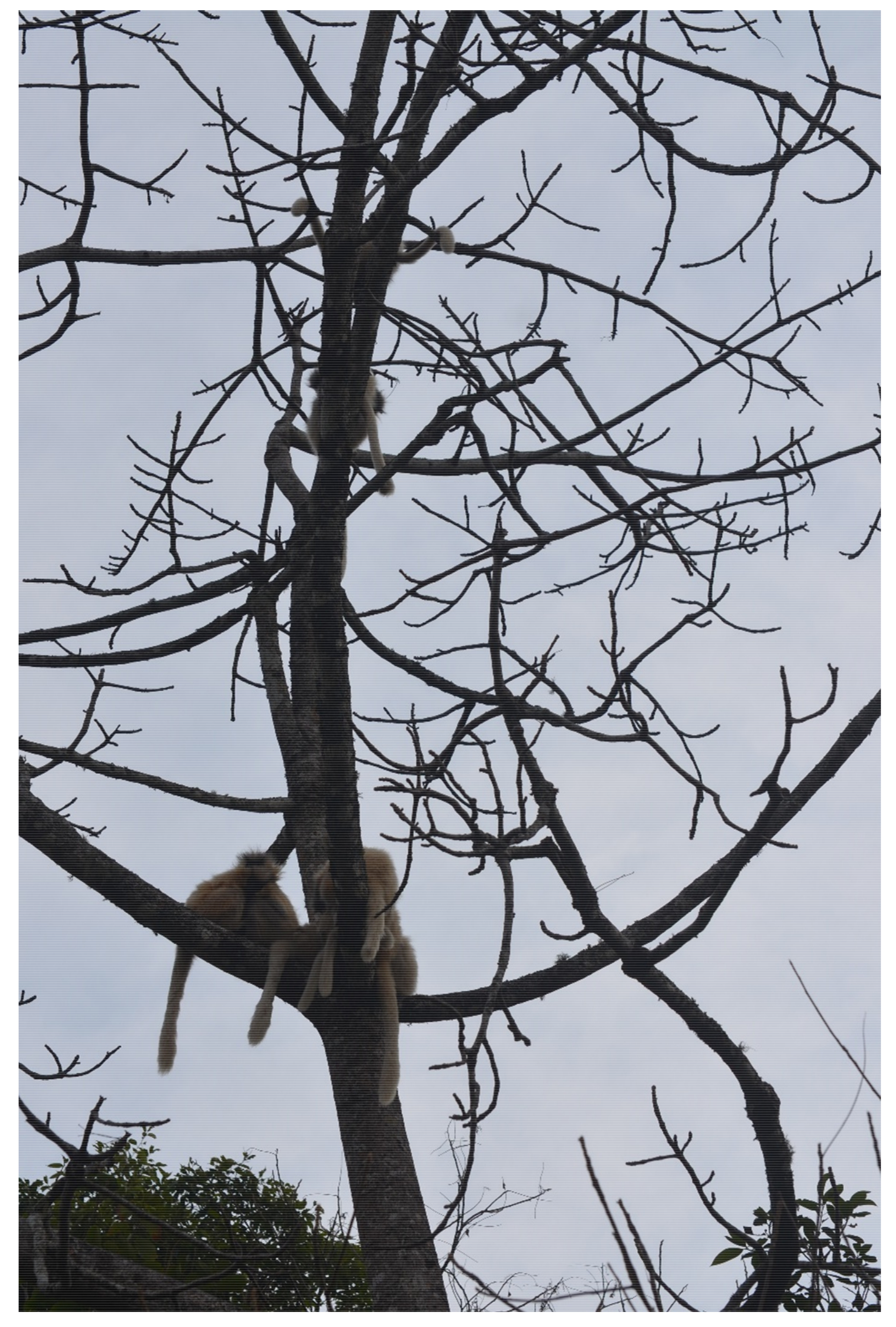 Humans 01 00005 g004