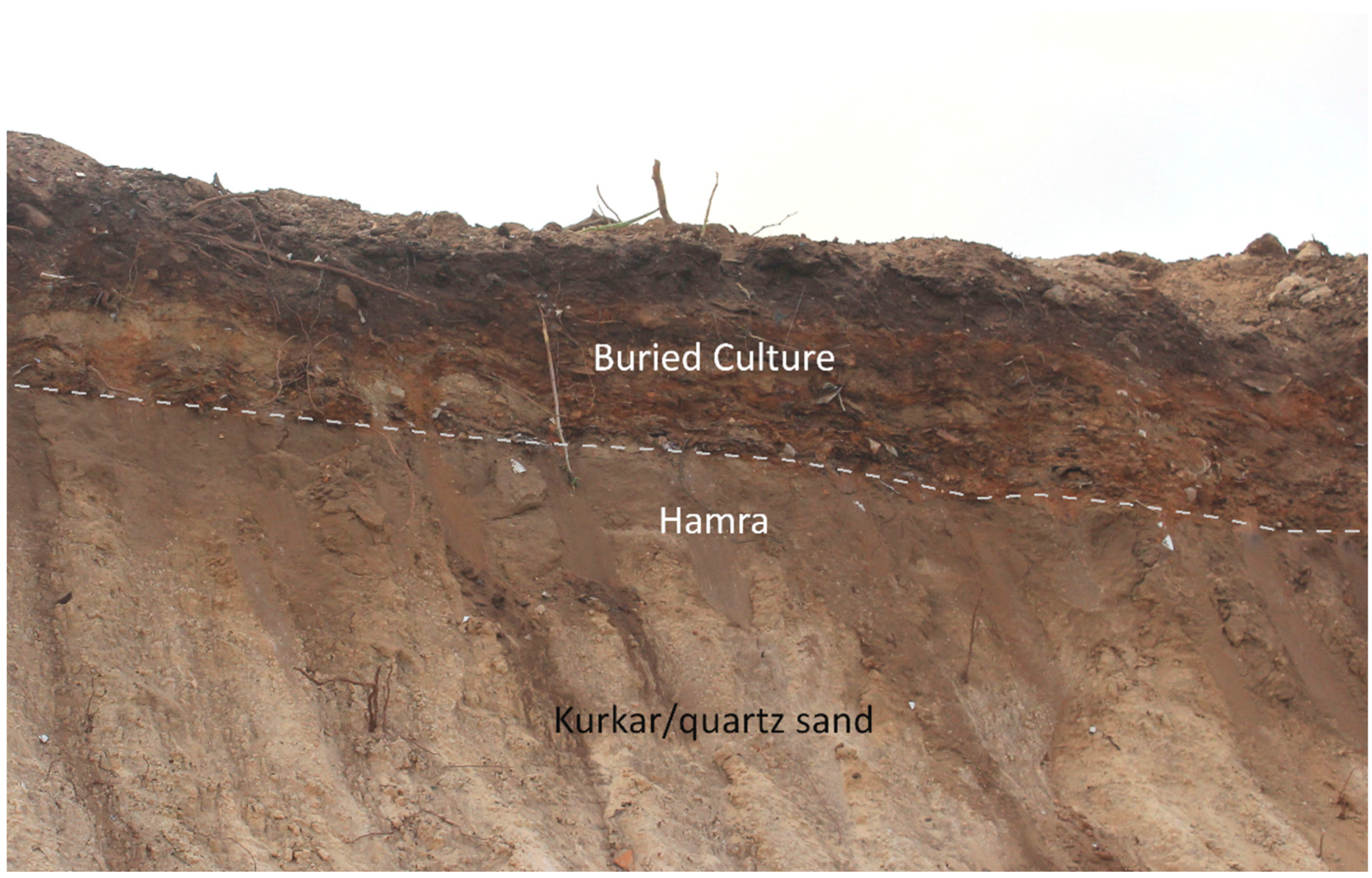 Humans 02 00006 g001