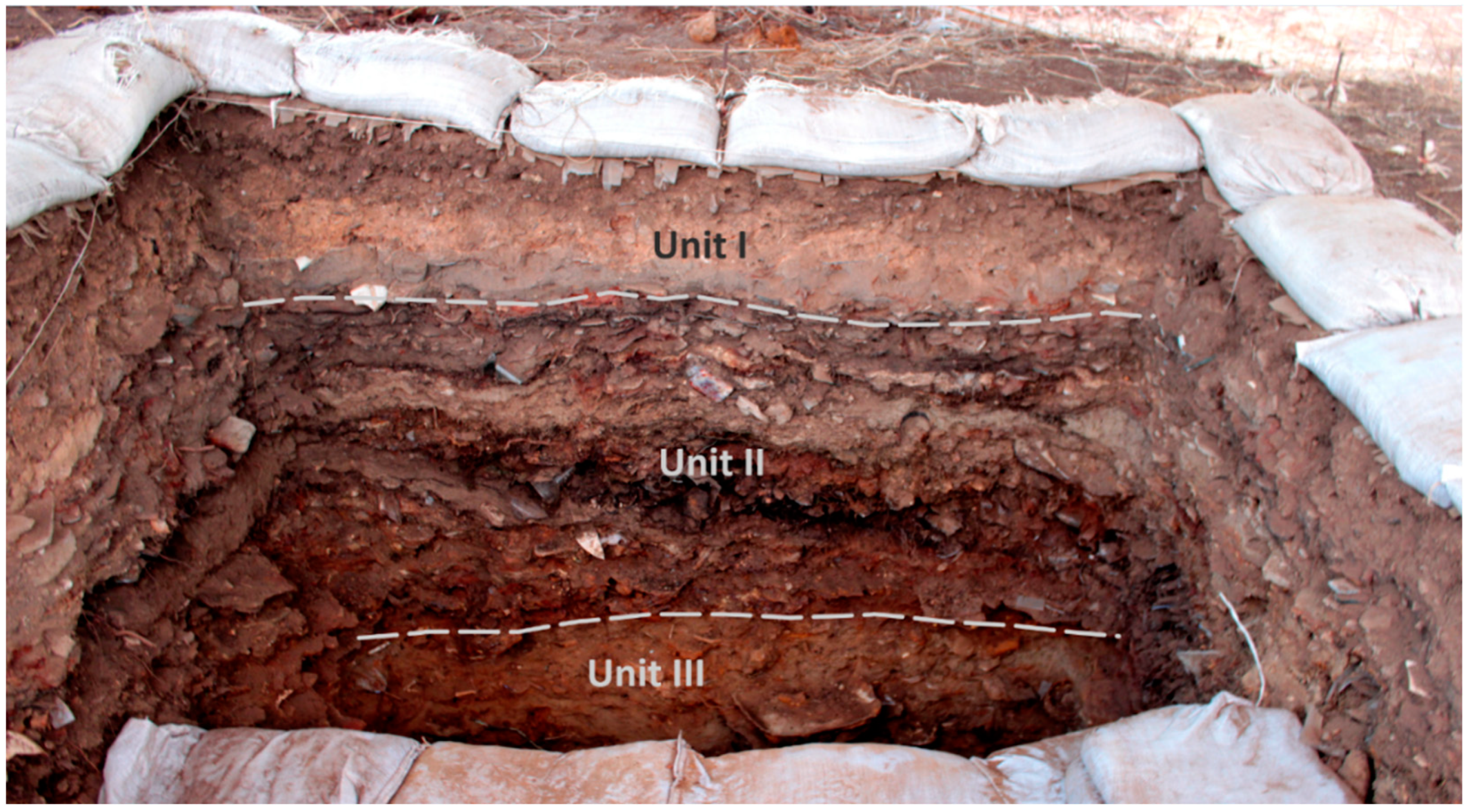 Humans 02 00006 g004