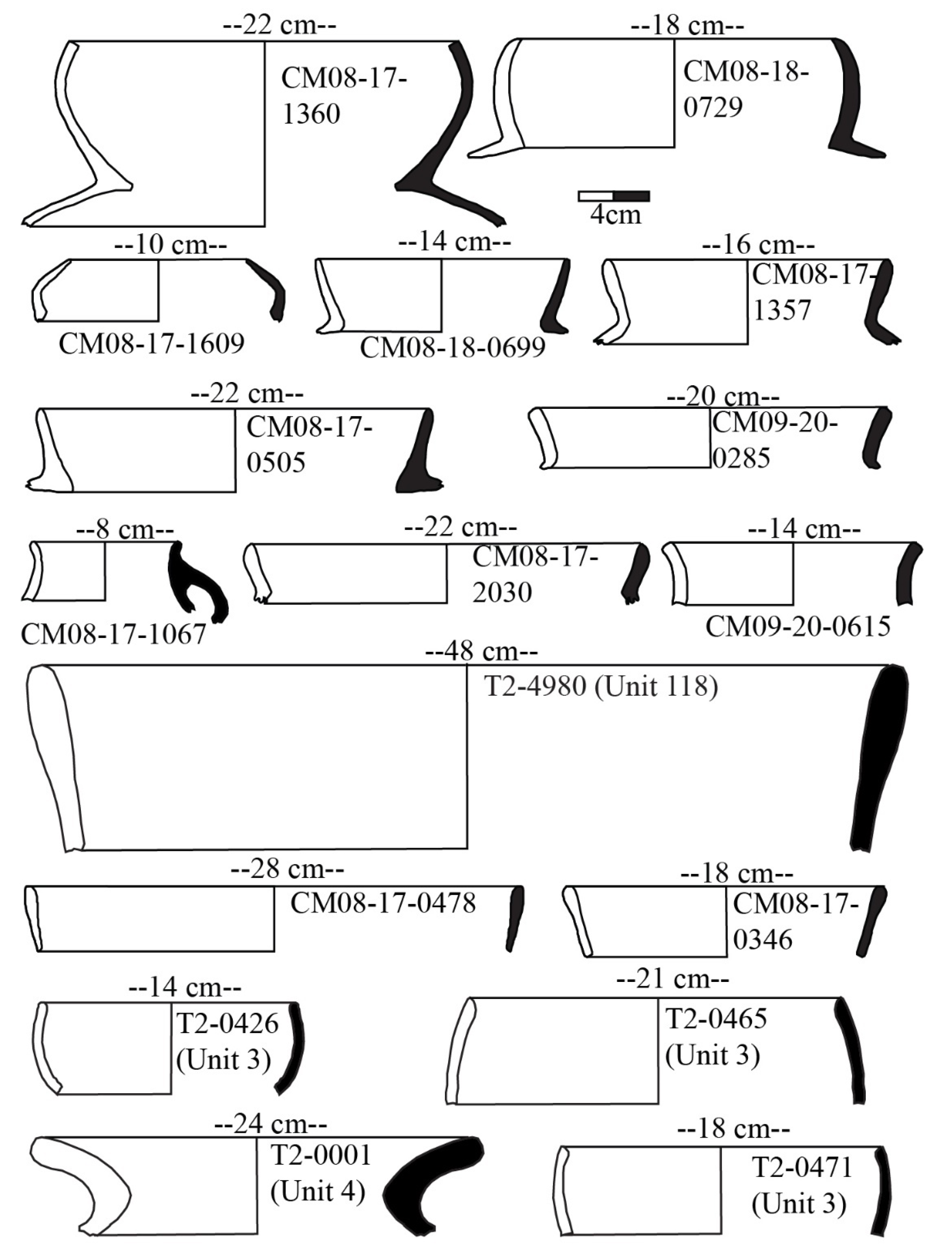 Humans 02 00008 g006