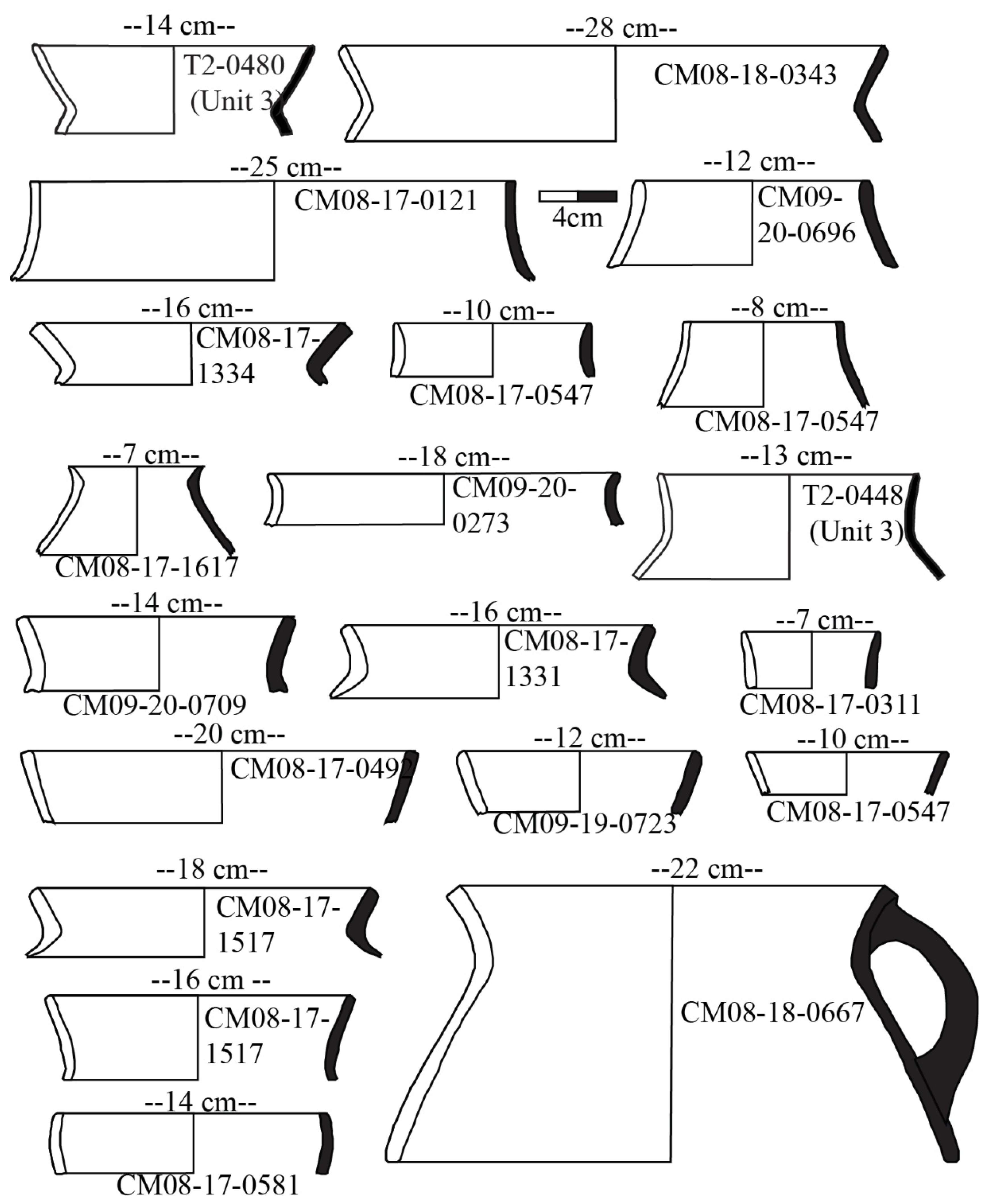 Humans 02 00008 g007