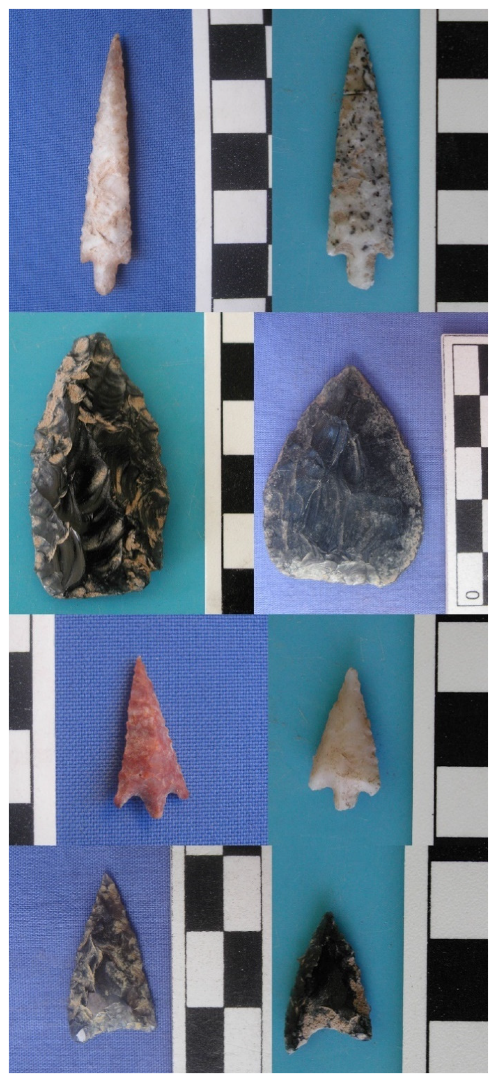 Humans 02 00008 g009