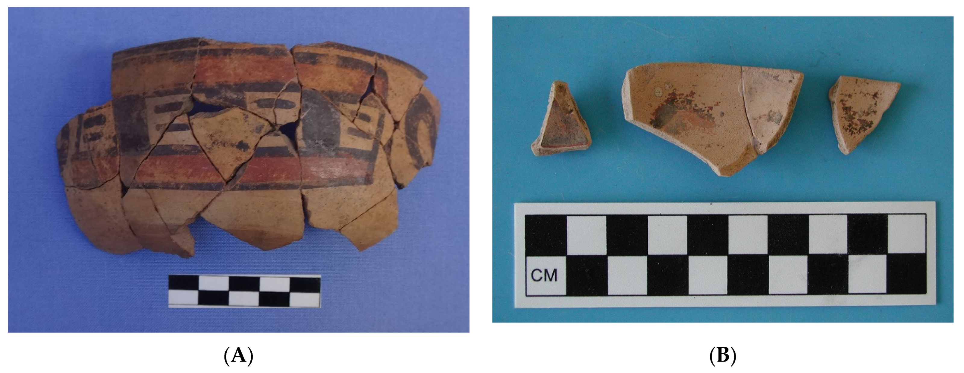 Humans 02 00008 g011