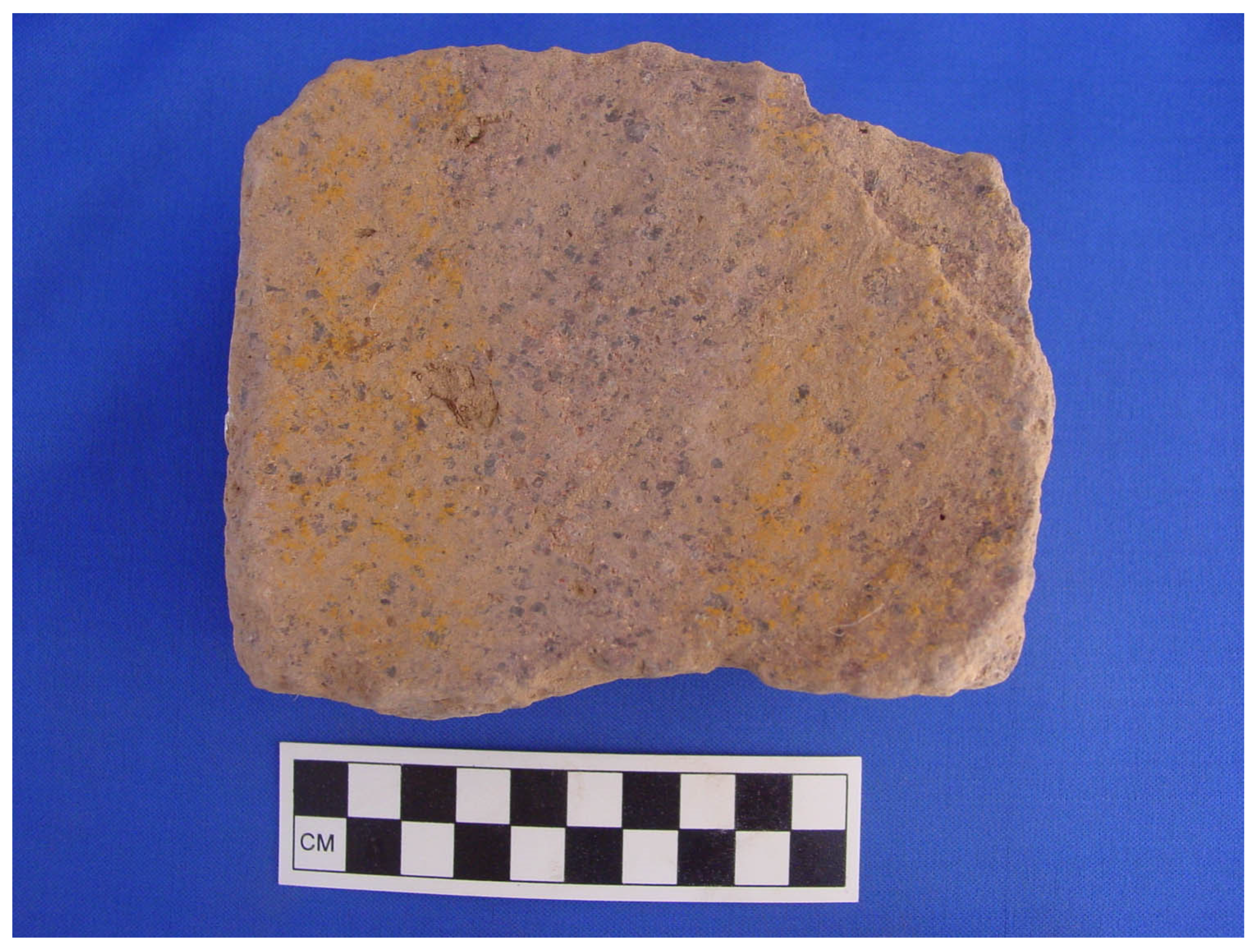 Humans 02 00008 g012