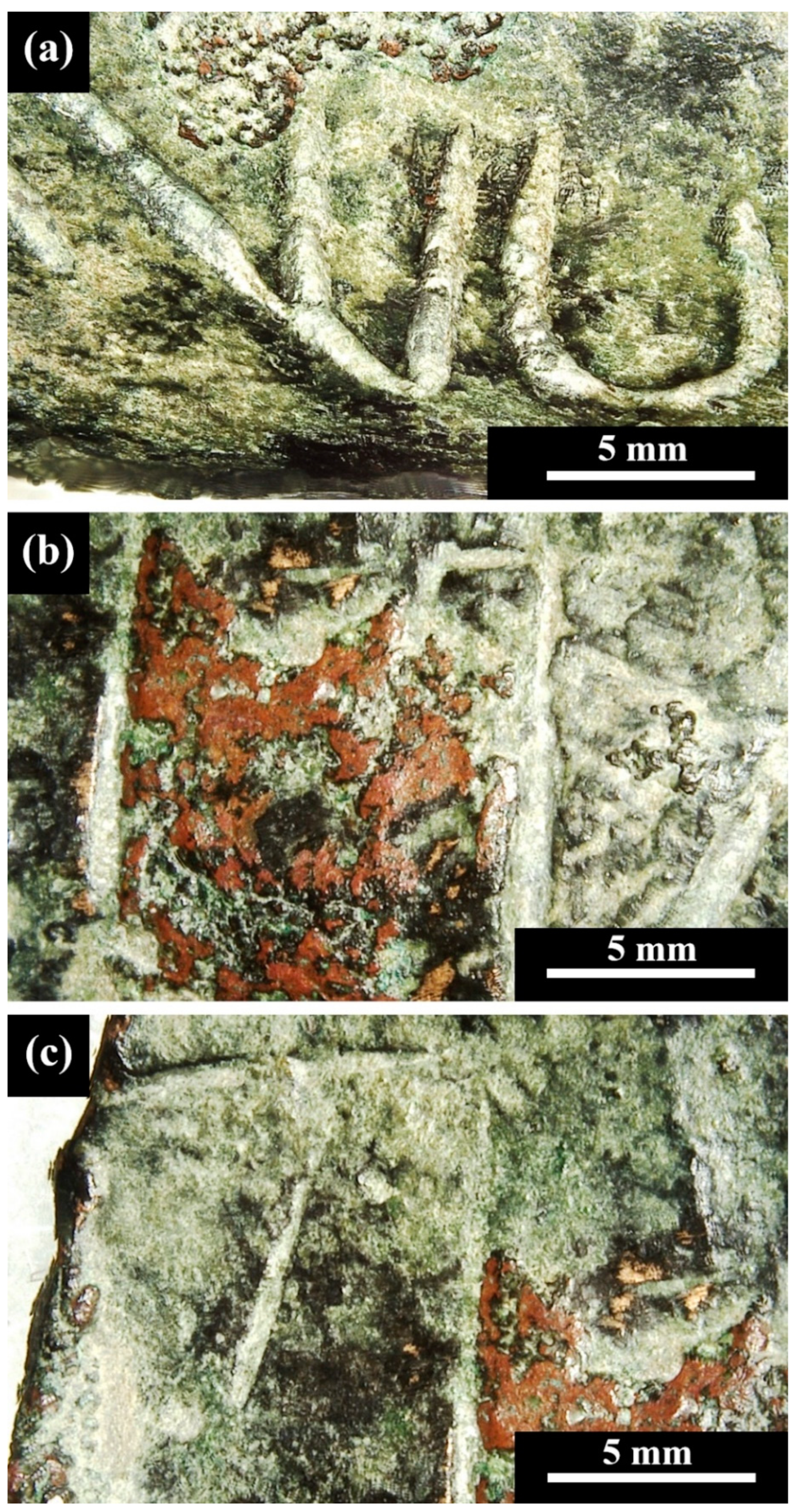 Humans 02 00012 g005