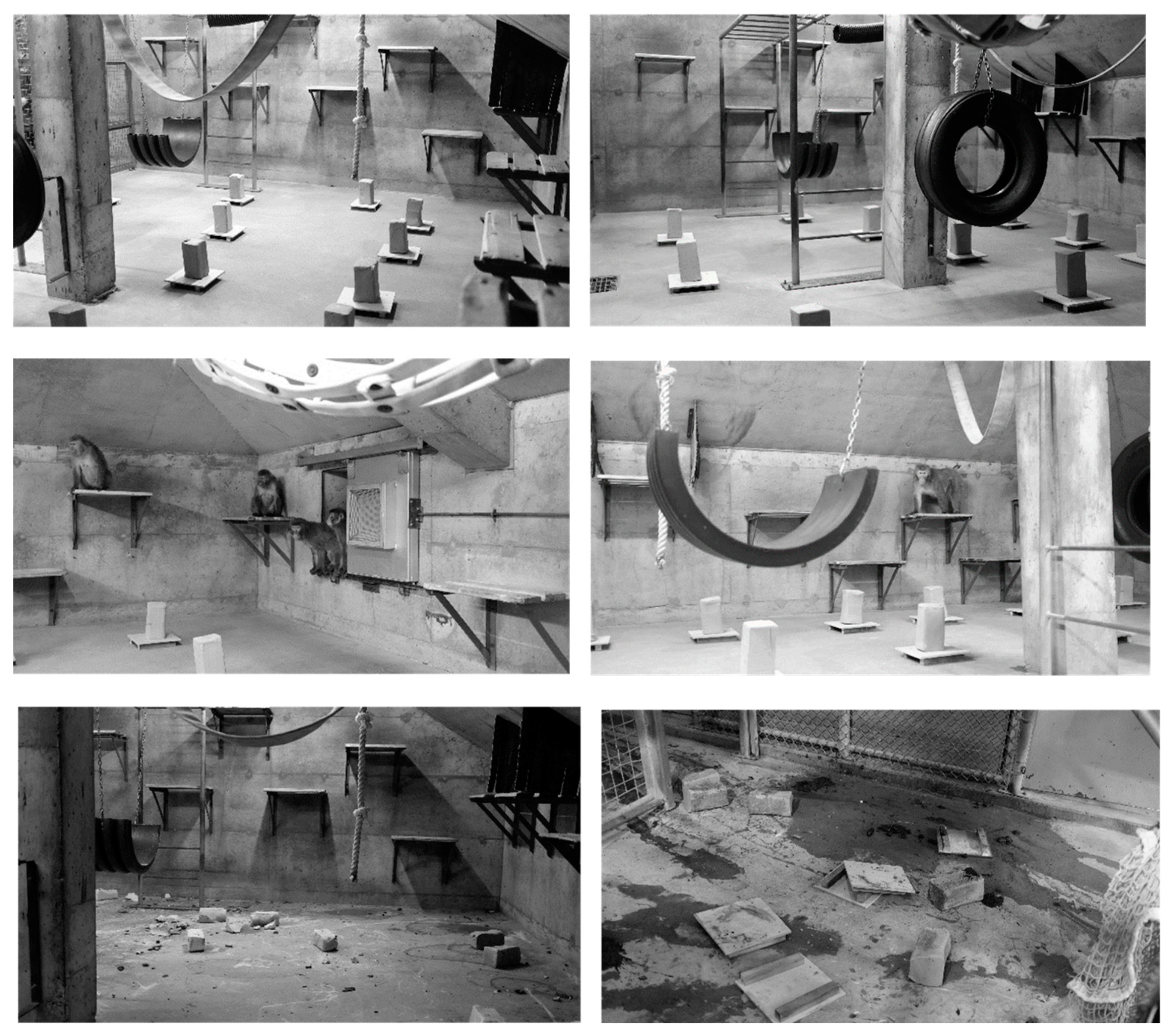 Humans 04 00007 g003