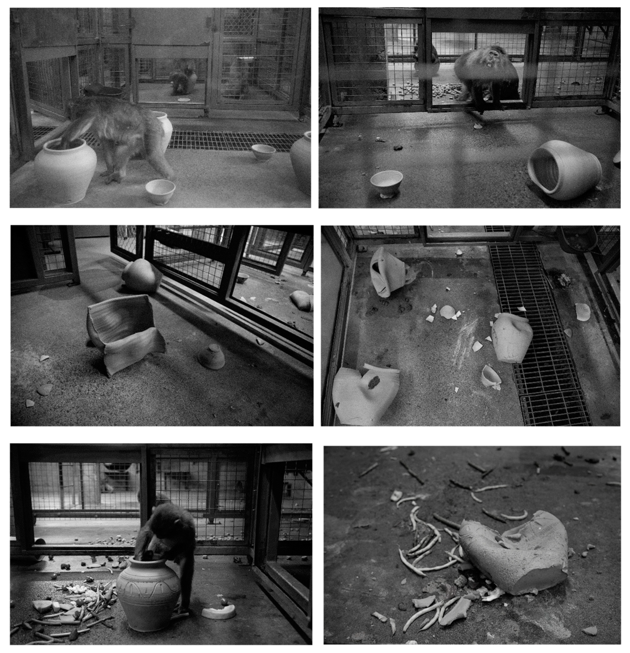 Humans 04 00007 g004