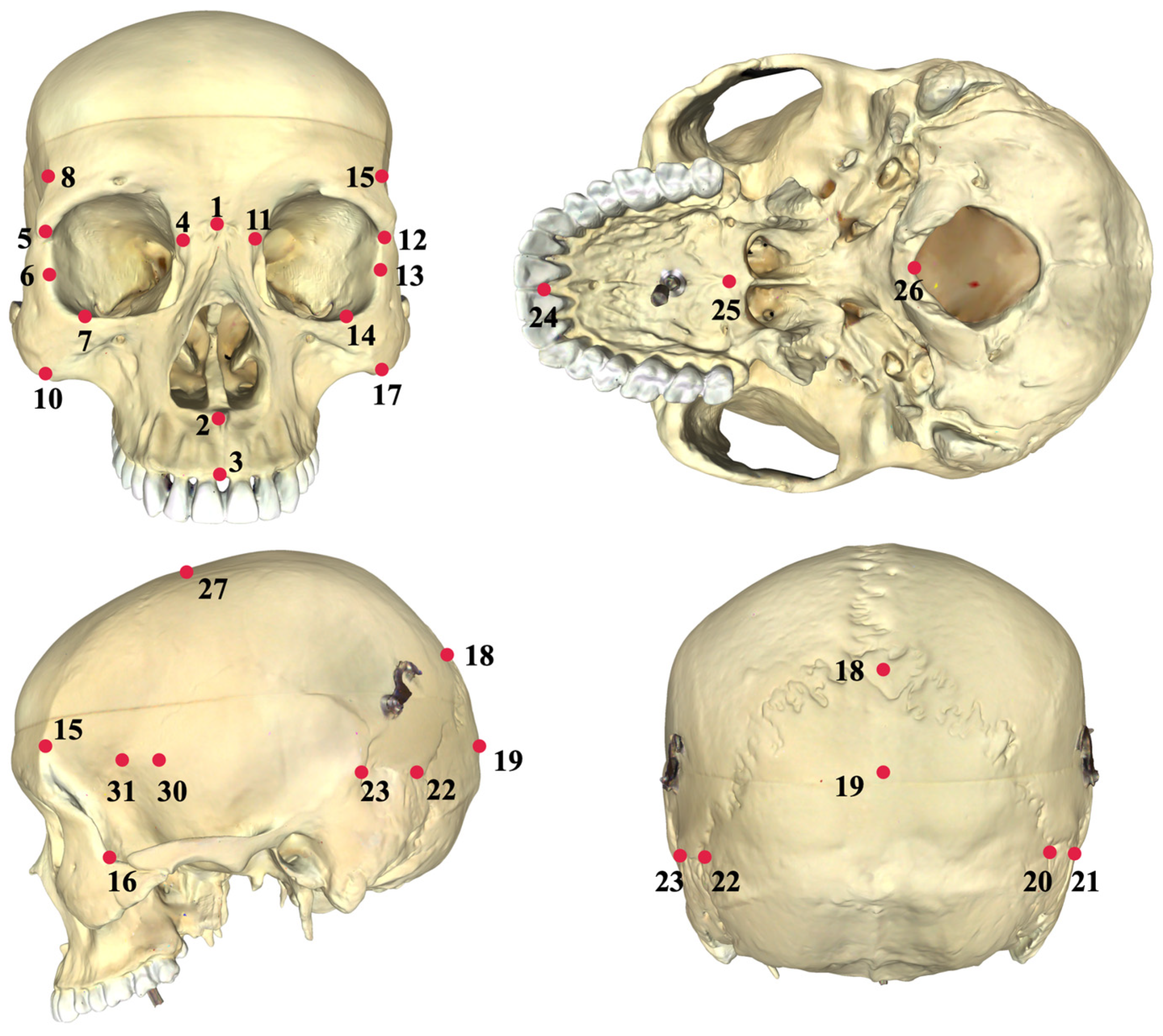 Humans 04 00008 g002 Humans 04 00008 g002