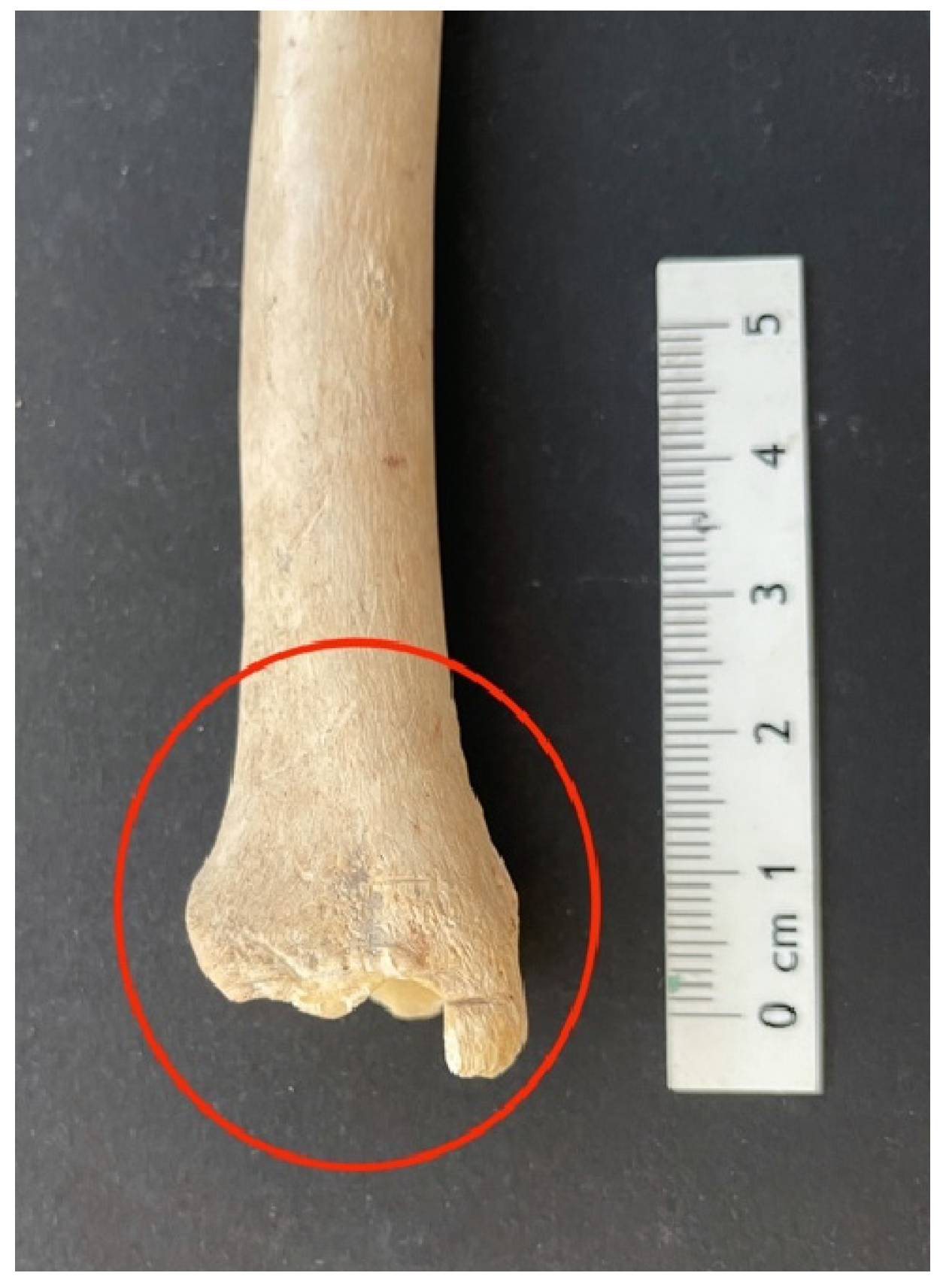 Humans 04 00009 g005