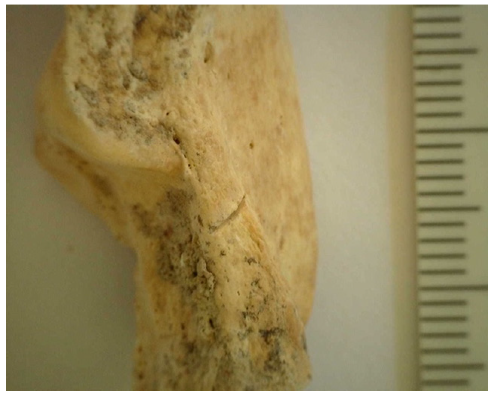 Humans 04 00009 g008