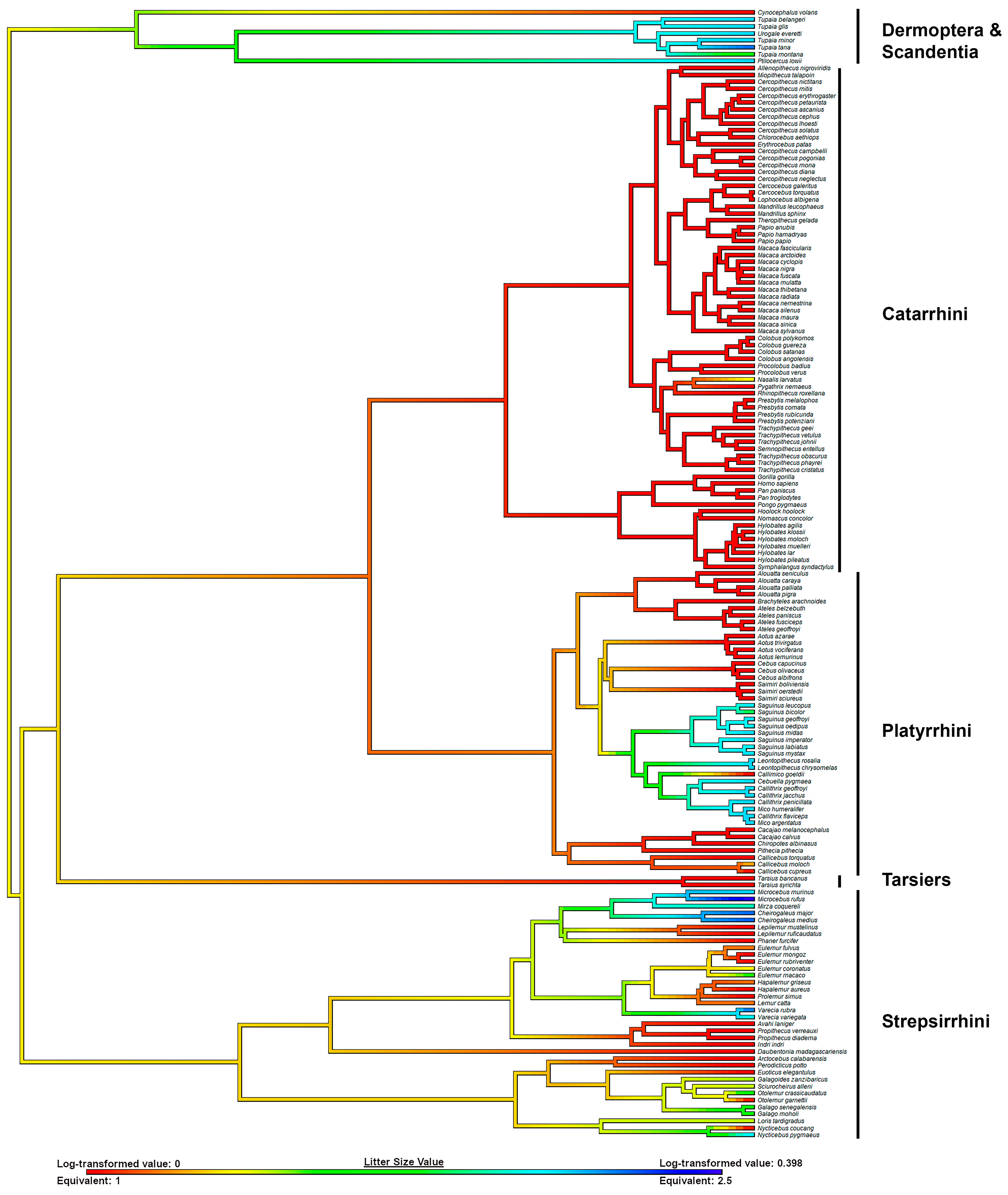 Humans 04 00014 g002