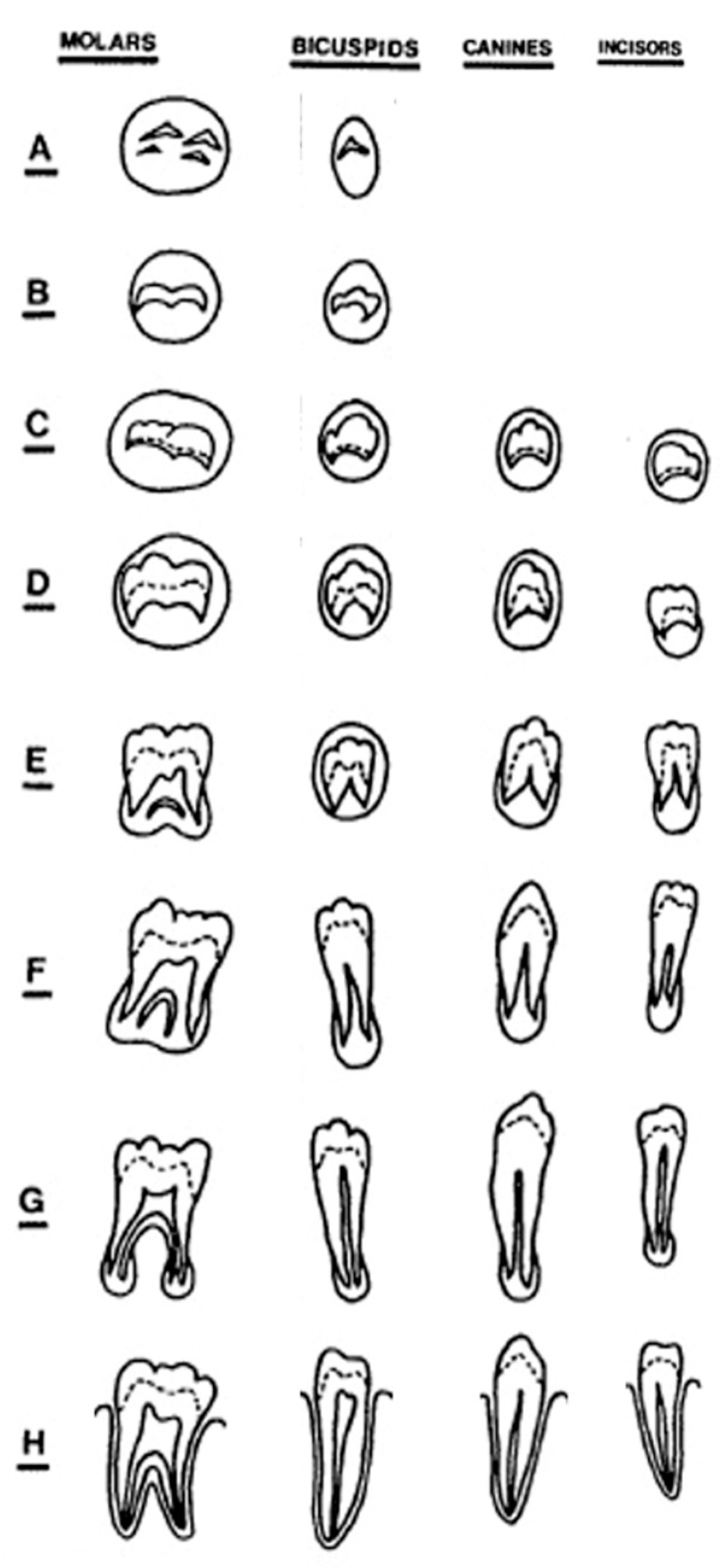 Humans 05 00006 g001