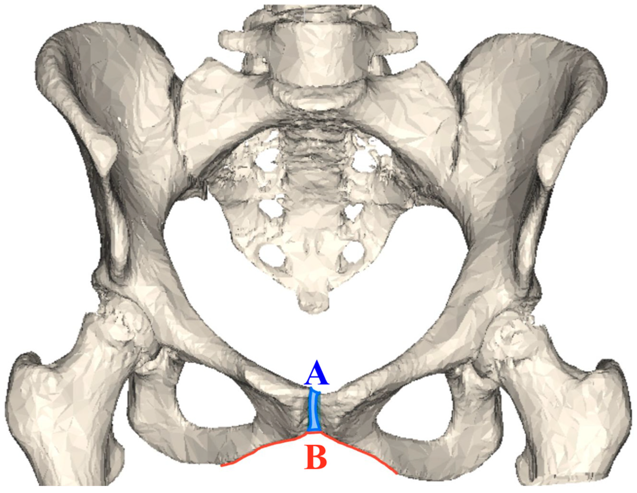 Humans 05 00013 g001